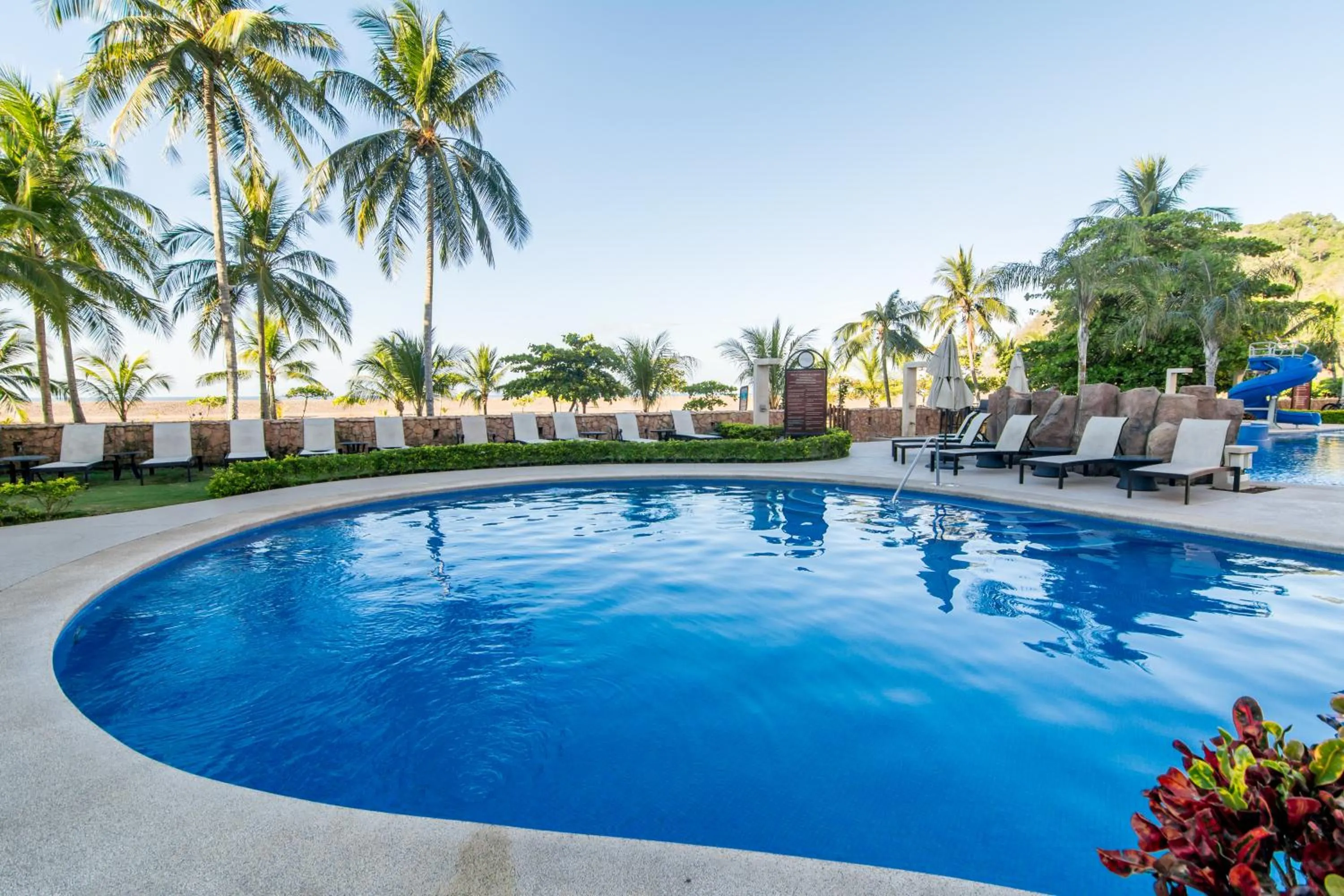 Swimming pool in Crocs Resort & Casino