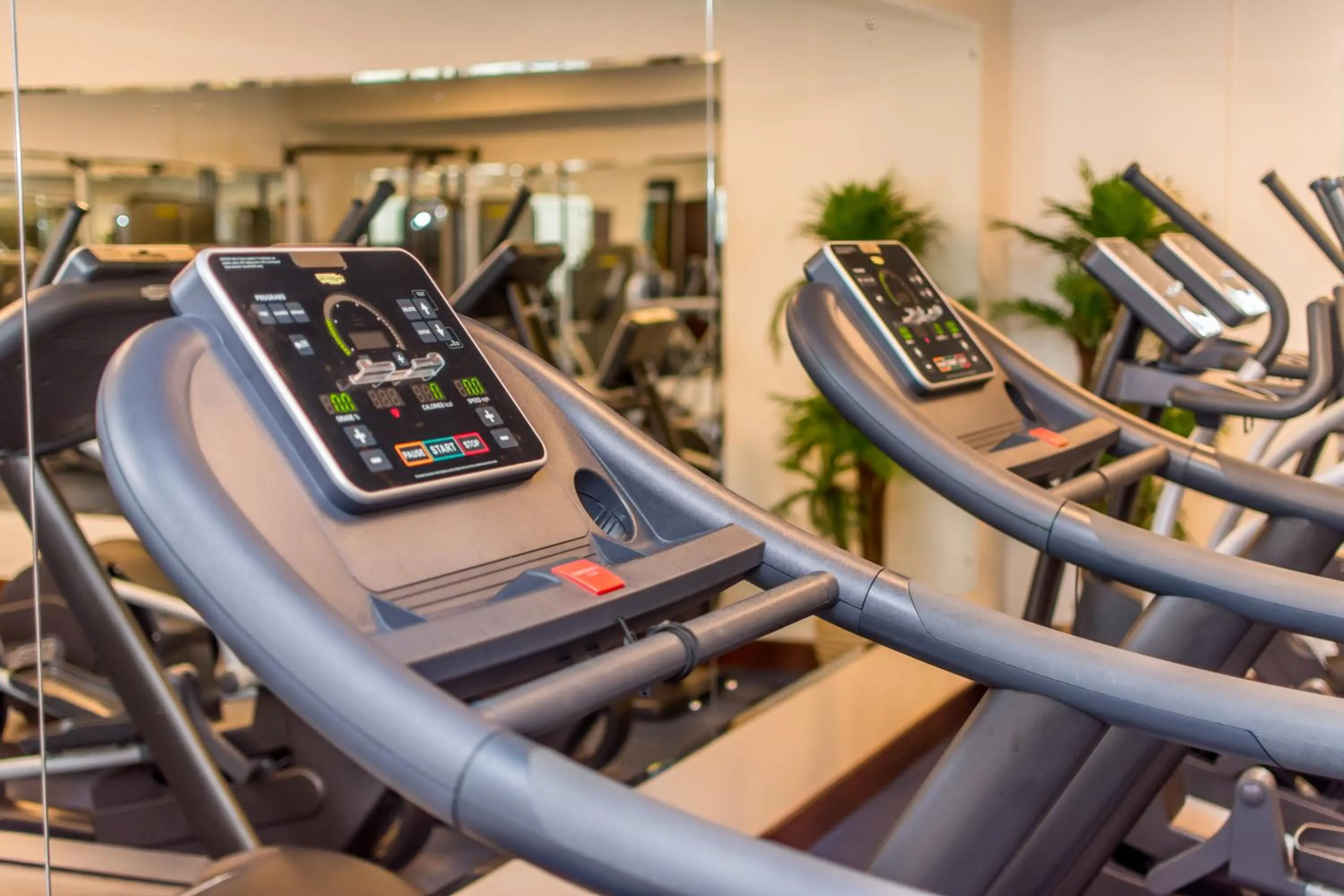 Fitness centre/facilities in Crocs Resort & Casino