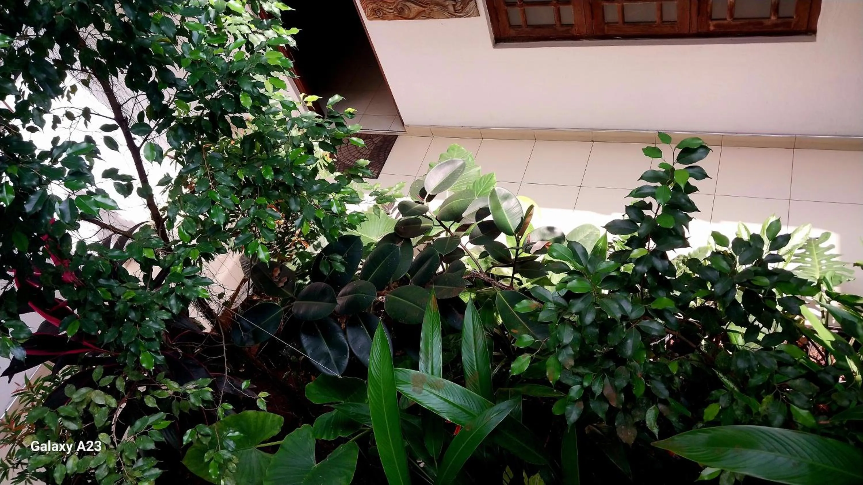 Sadula Holiday Resort