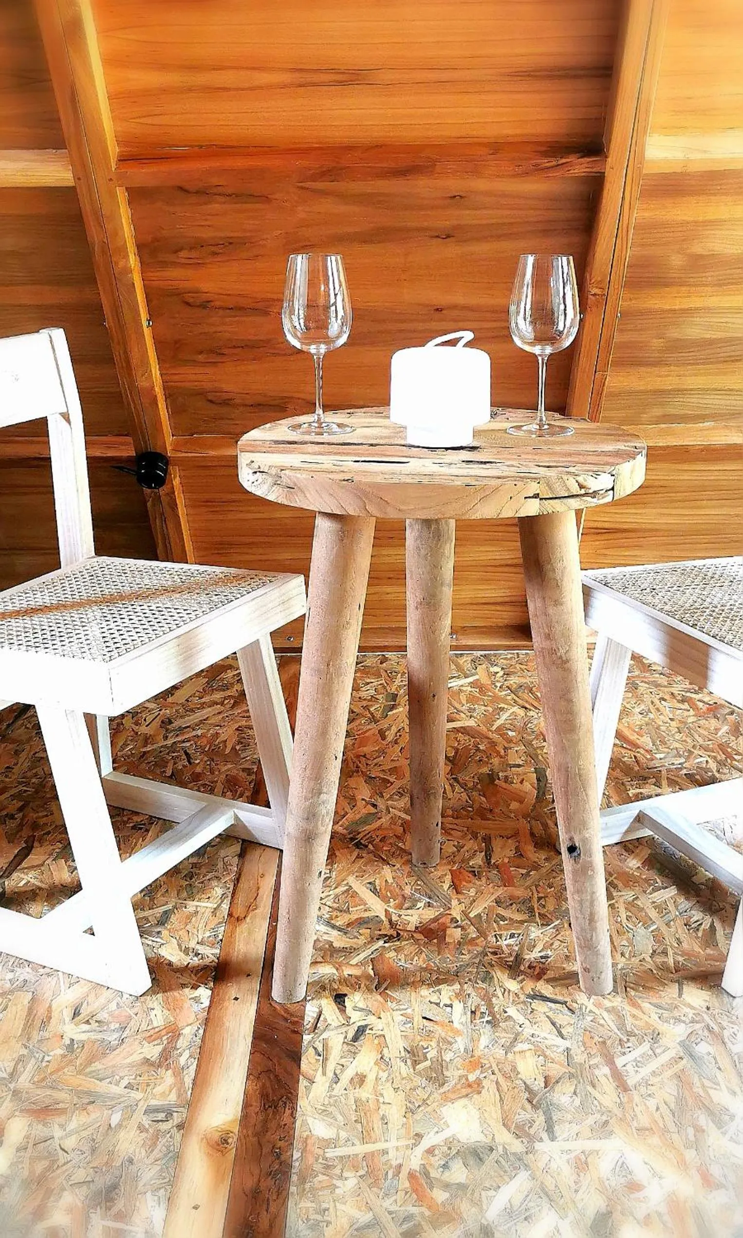 Villa Verde the garden