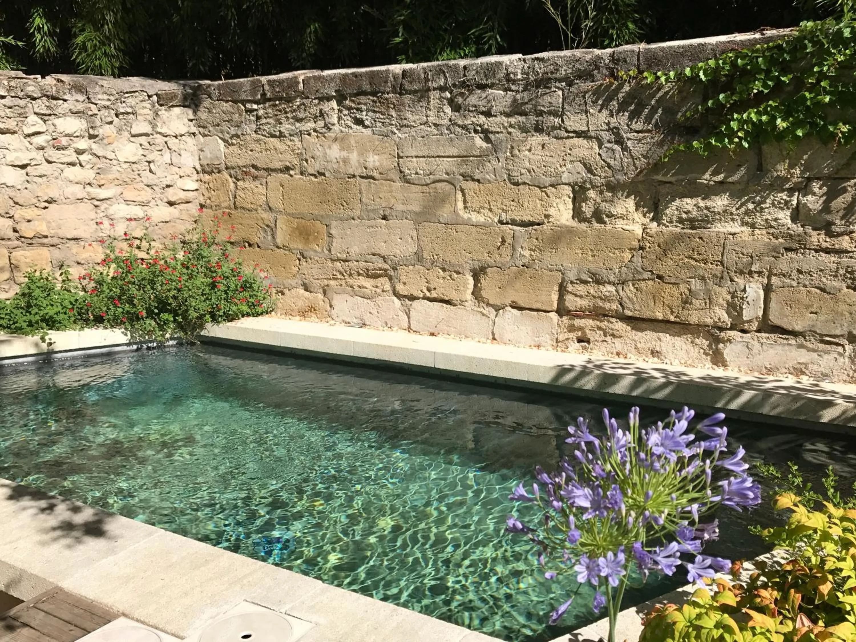 Pool view in N15 - Les Confidences - Chambres d'hôtes