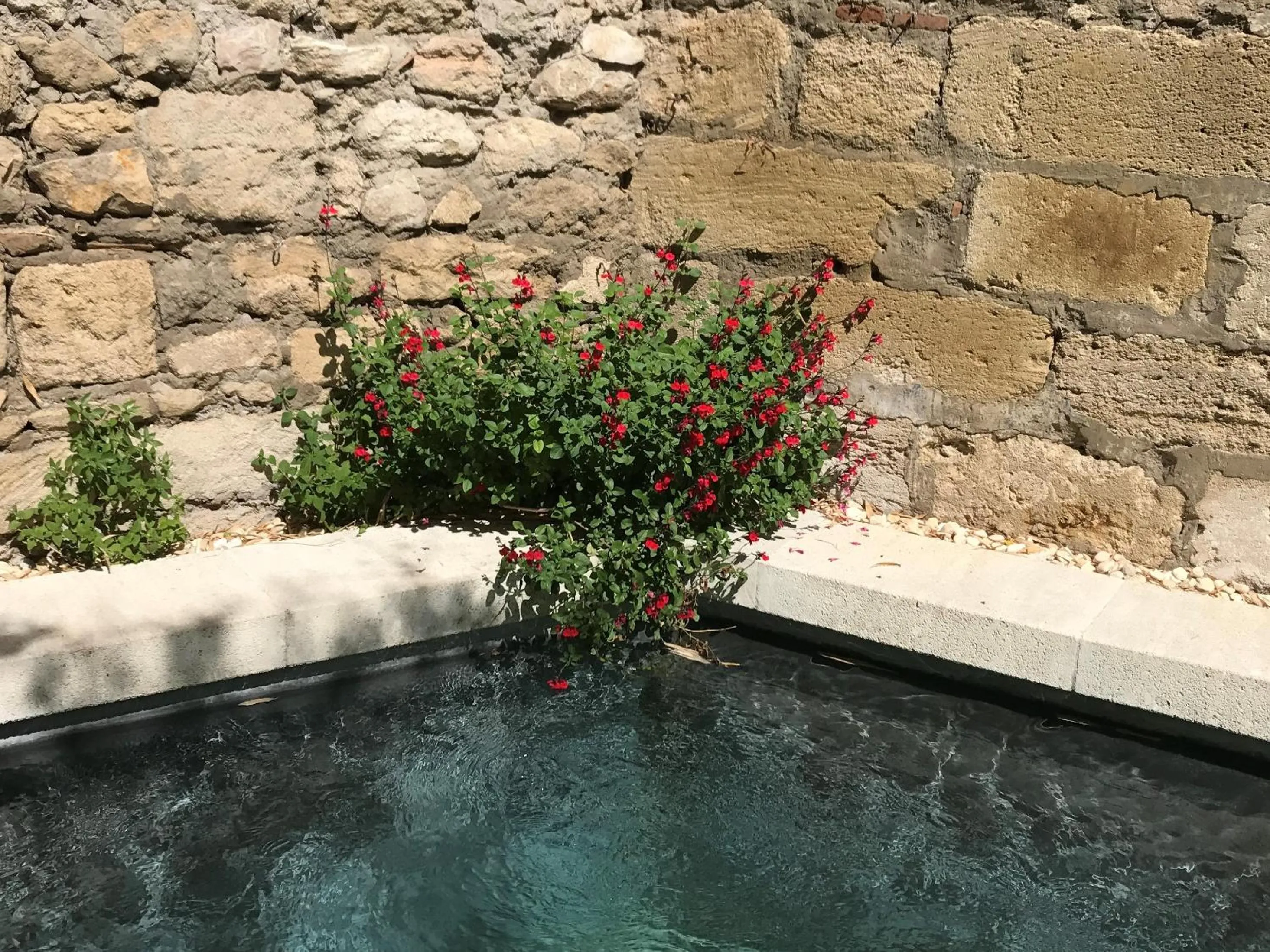 Other in N15 - Les Confidences - Chambres d'hôtes