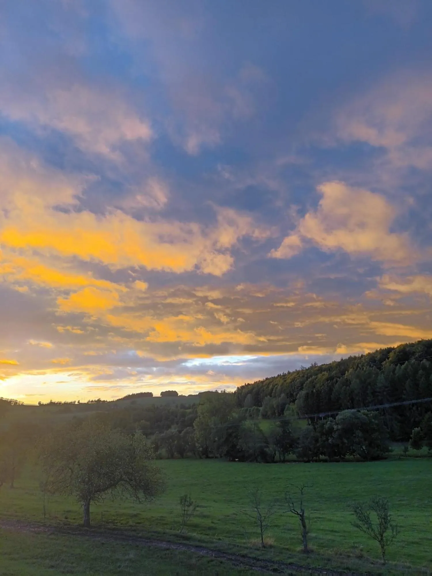 Natural landscape in Rhön-Hotel Sonnenhof - Restaurant & Café