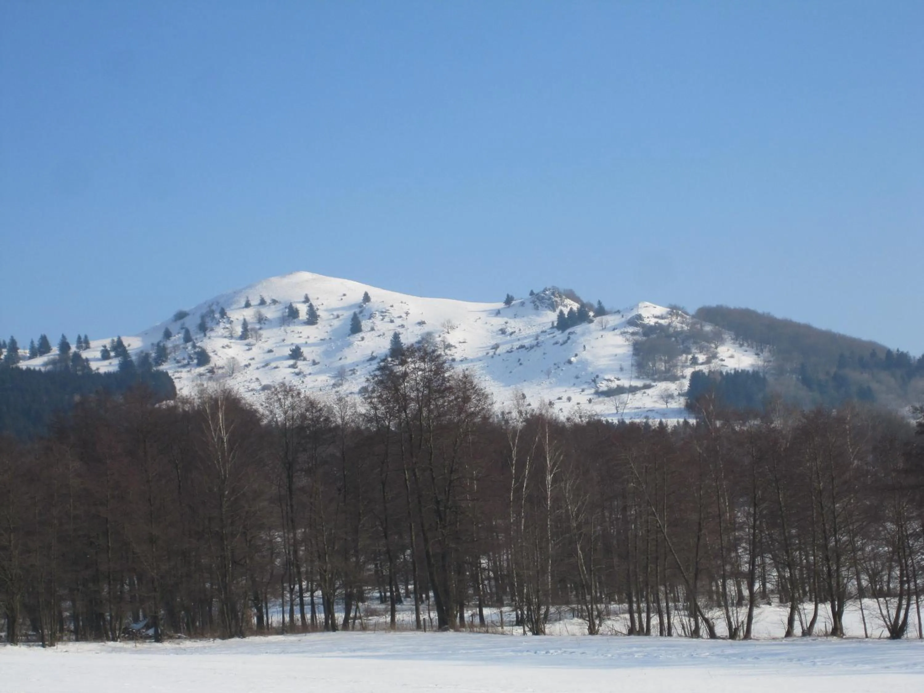Area and facilities in Rhön-Hotel Sonnenhof - Restaurant & Café