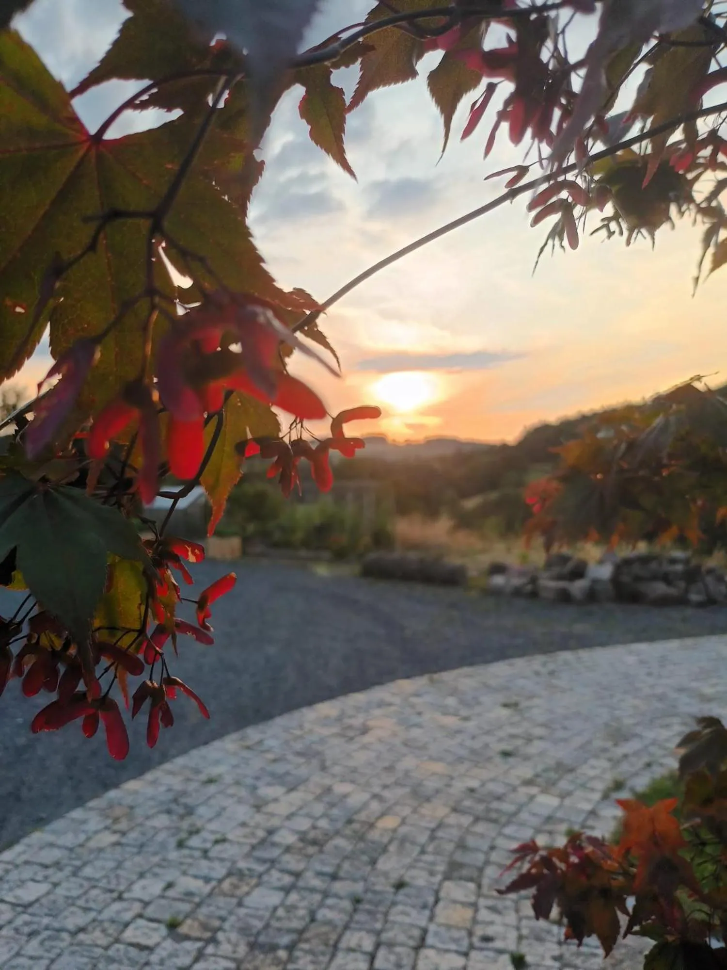 Garden view in Rhön-Hotel Sonnenhof - Restaurant & Café