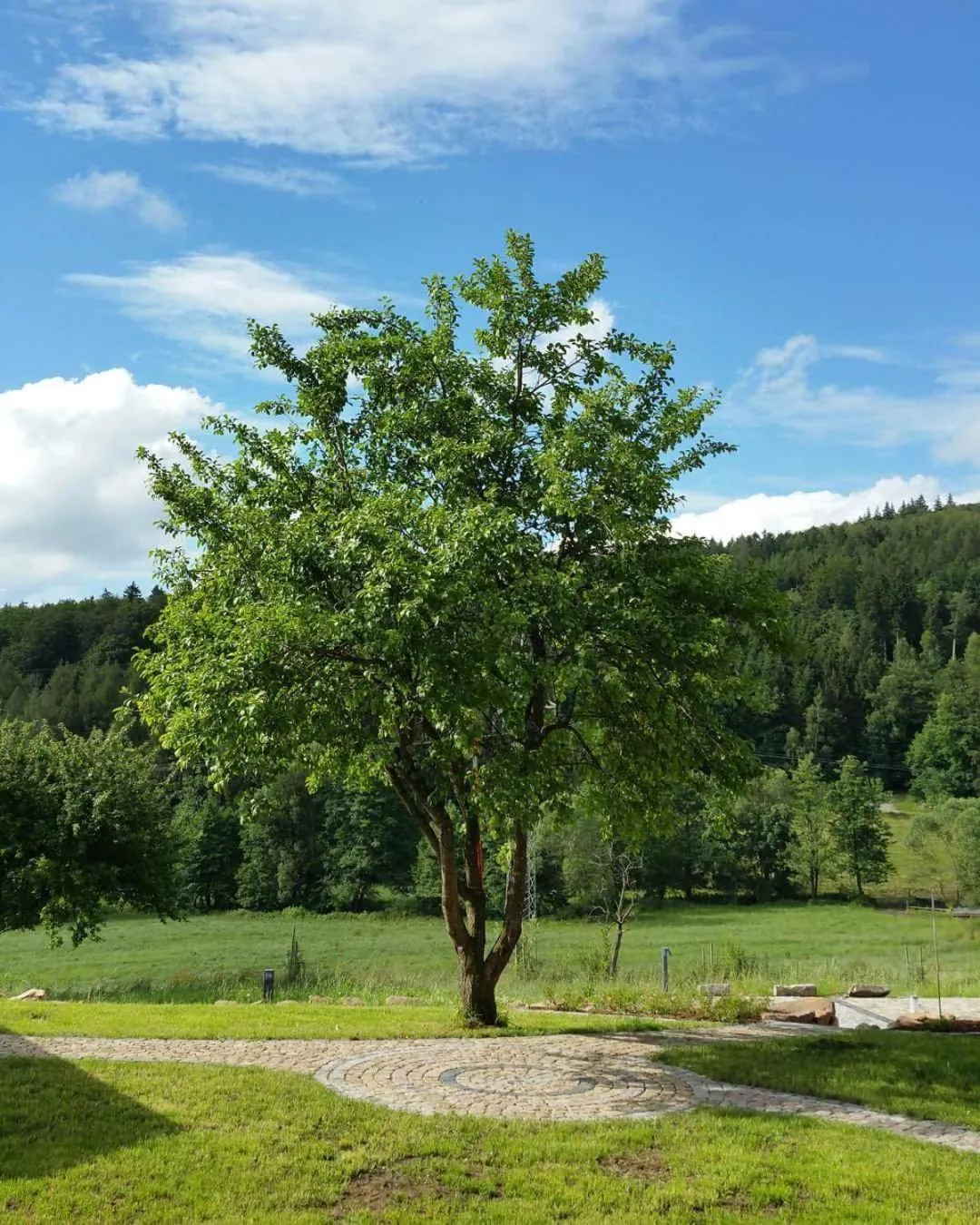 View (from property/room) in Rhön-Hotel Sonnenhof - Restaurant & Café
