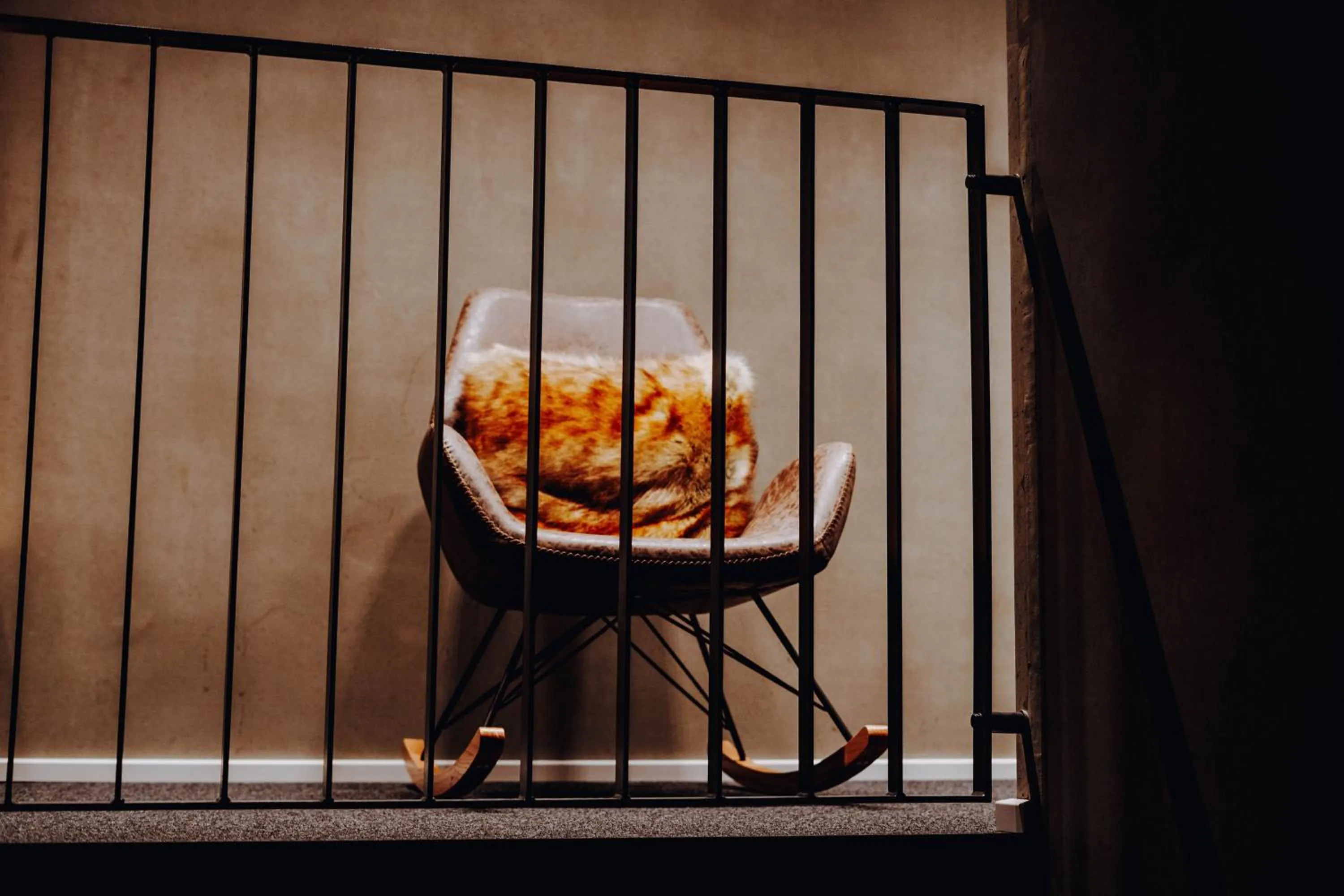 Area and facilities in Allgäuer Genusshotel und Historischer Dorfgasthof Hirsch
