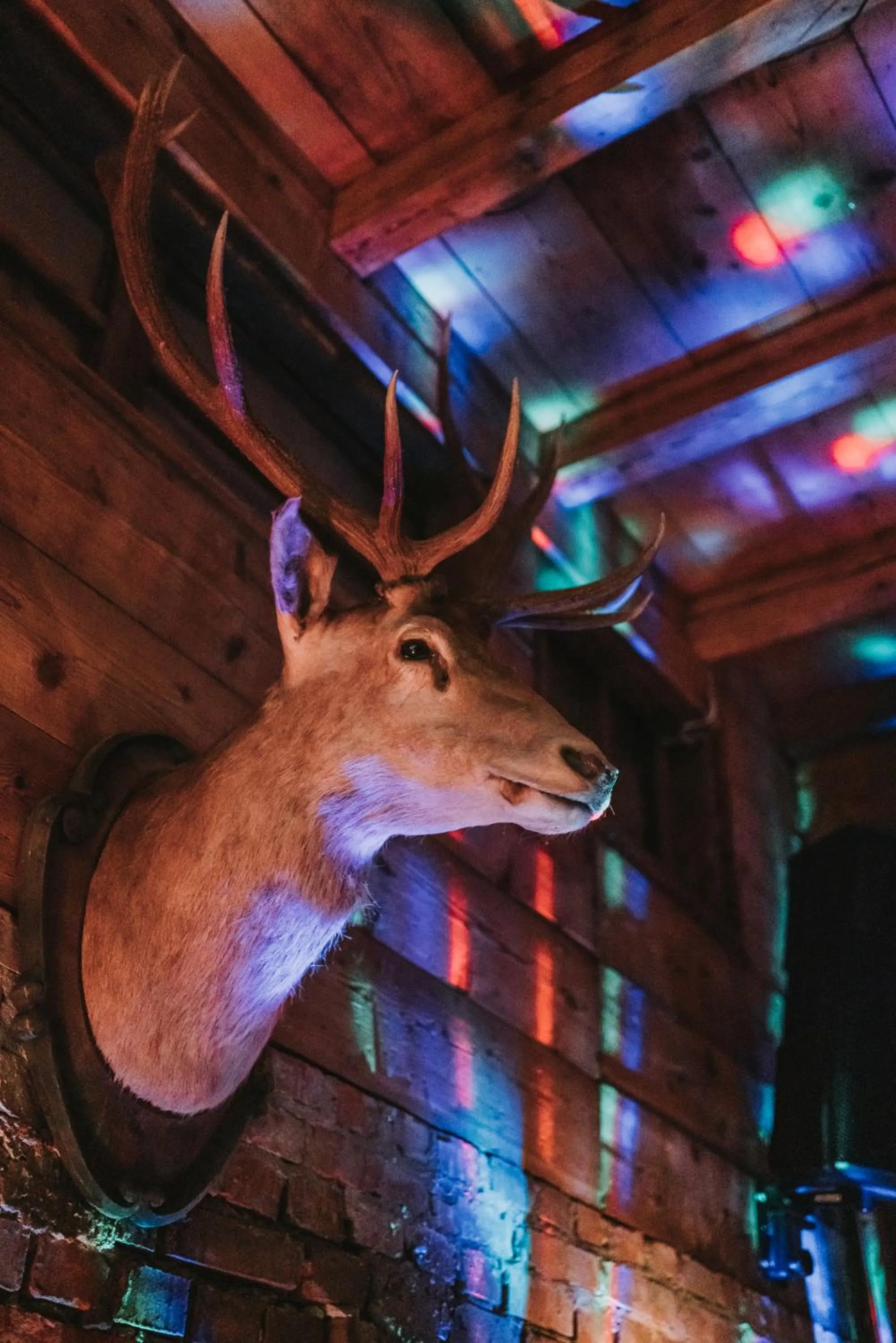 Decorative detail in Allgäuer Genusshotel und Historischer Dorfgasthof Hirsch