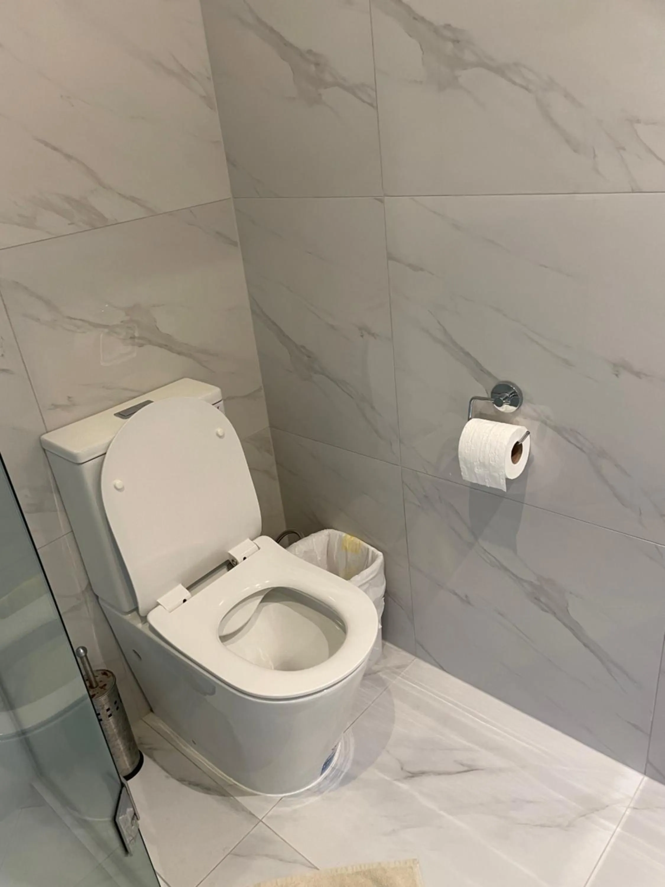 Toilet in Modern Home by the Reserve