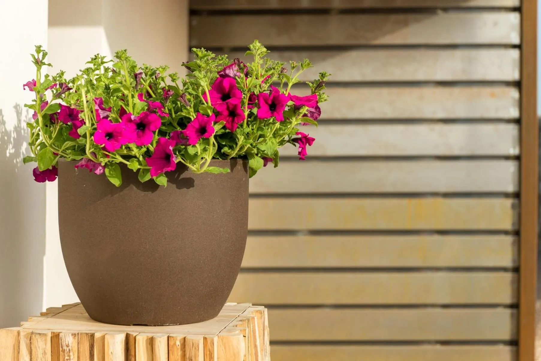 Decorative detail in Cas Cabo Nou Agroturismo Adults Only