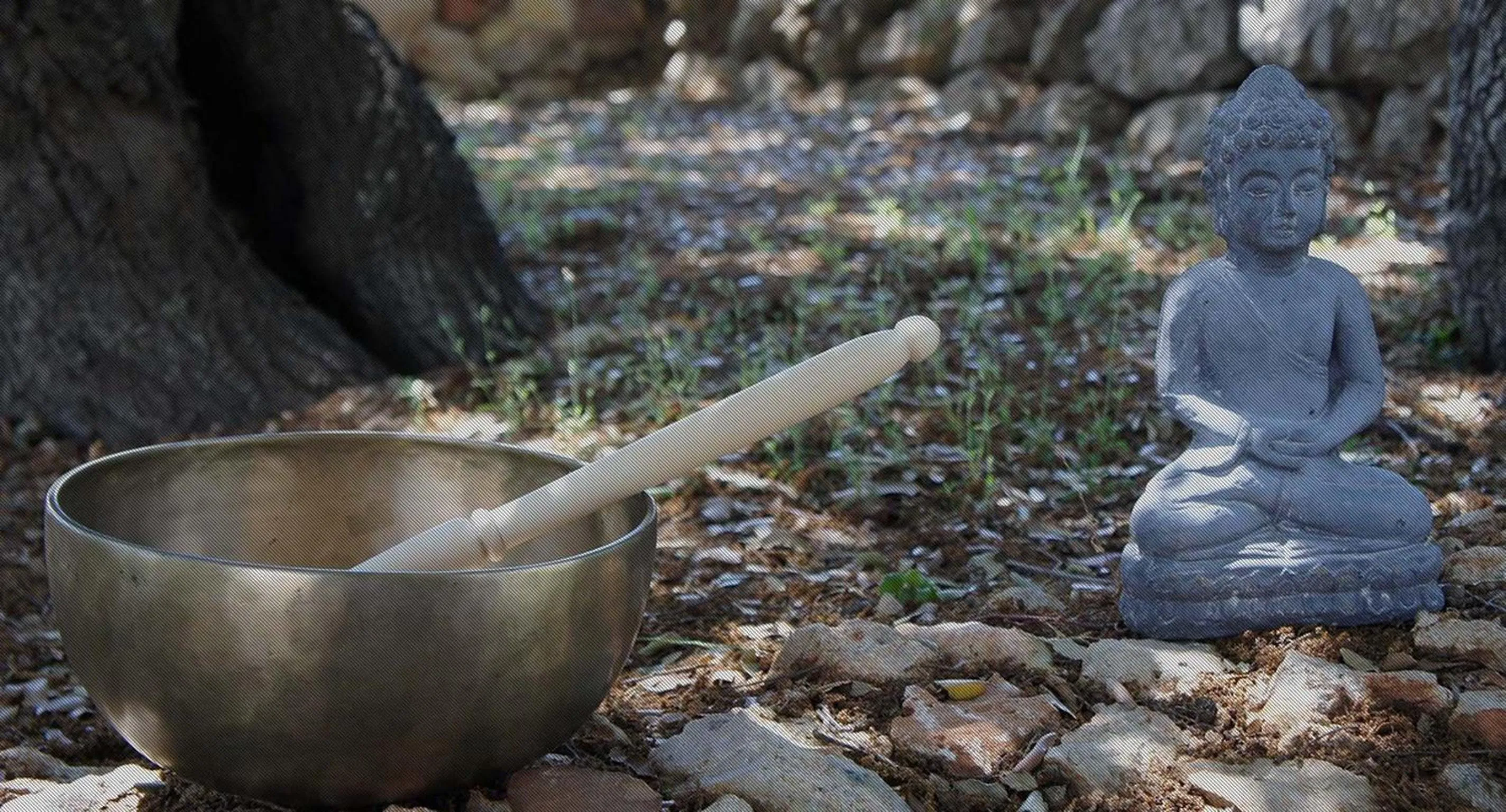 Day in Cas Cabo Nou Agroturismo Adults Only