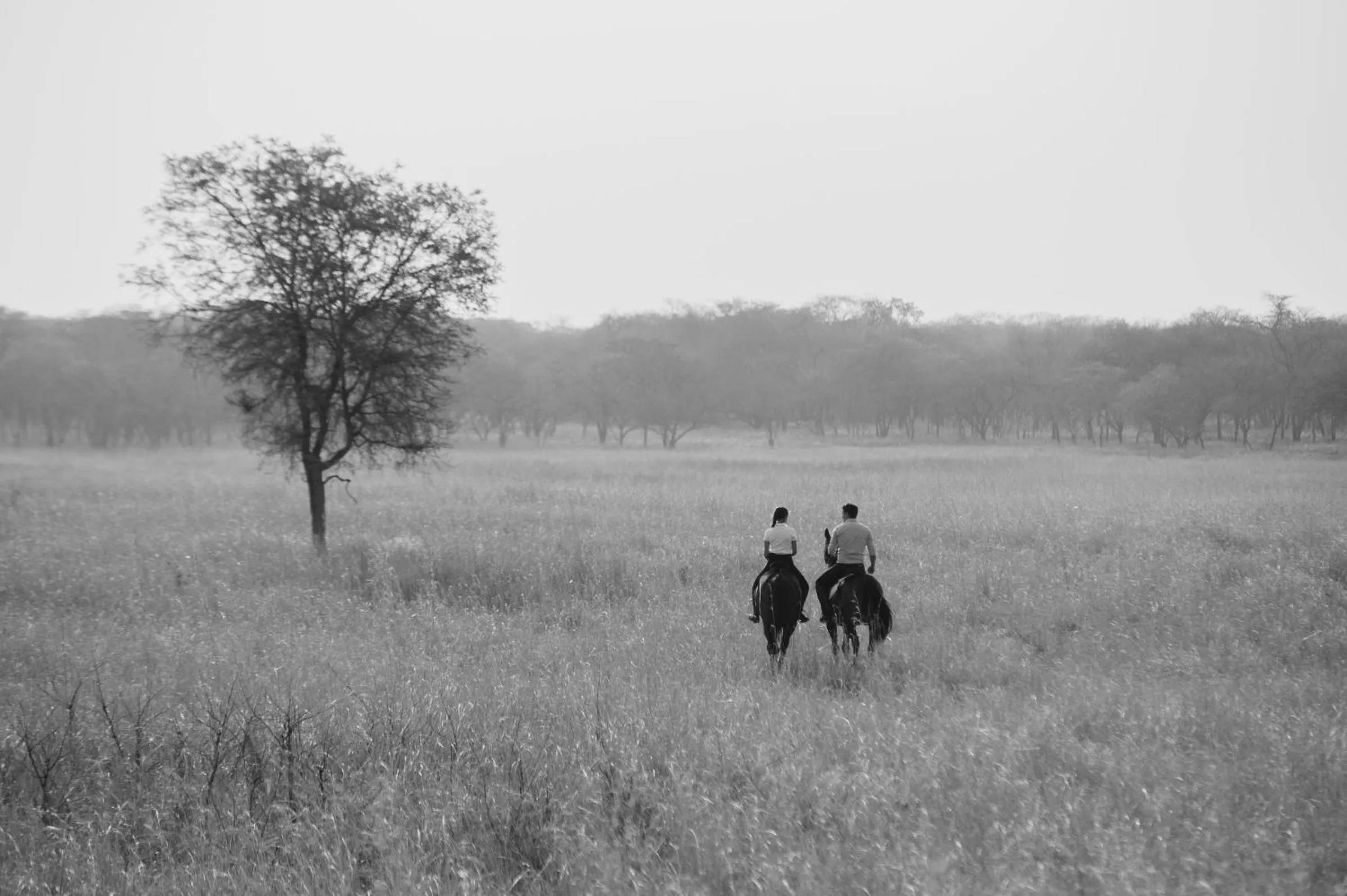 Horse-riding in Lilayi Lodge