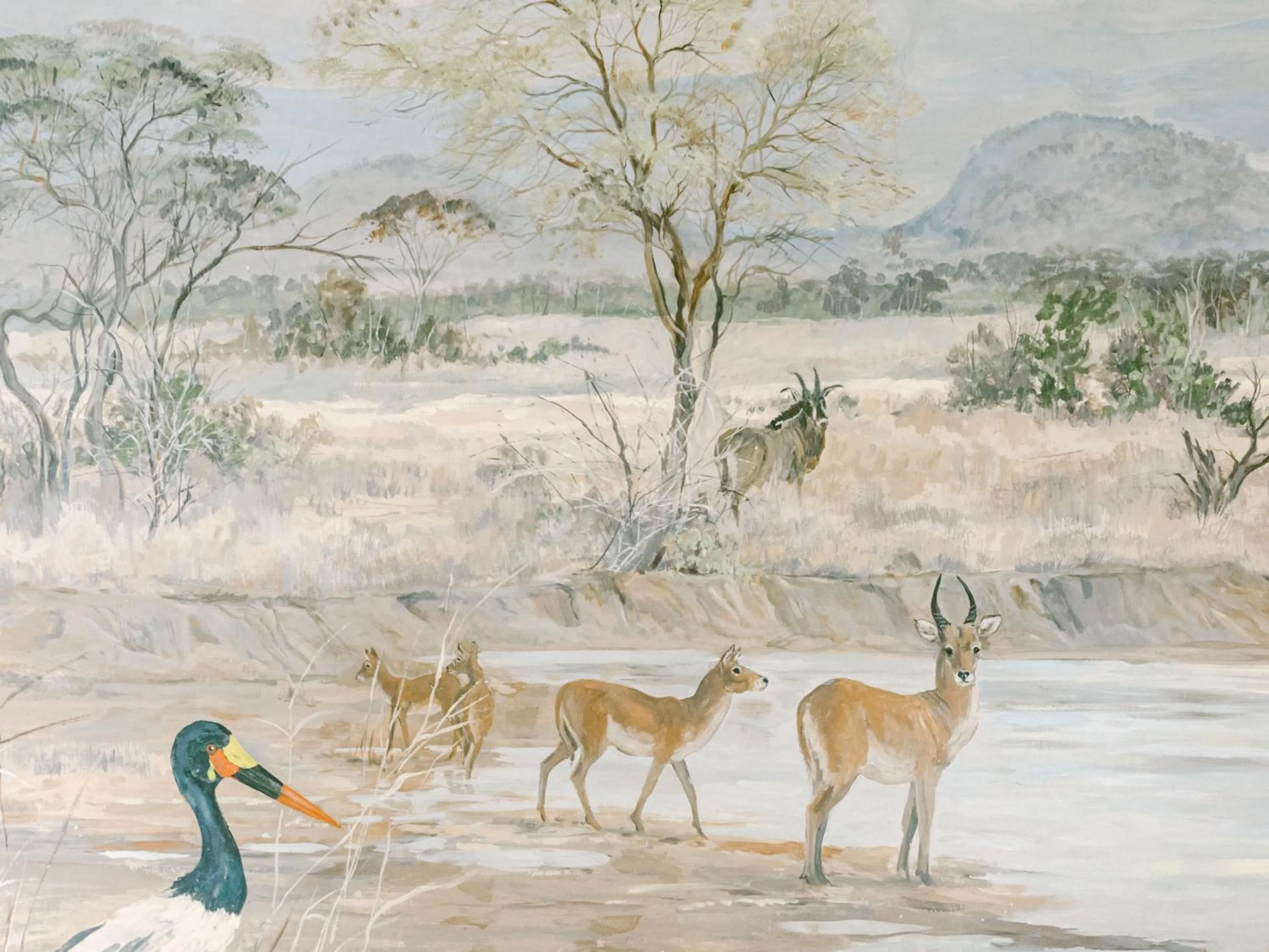 Property building in Lilayi Lodge