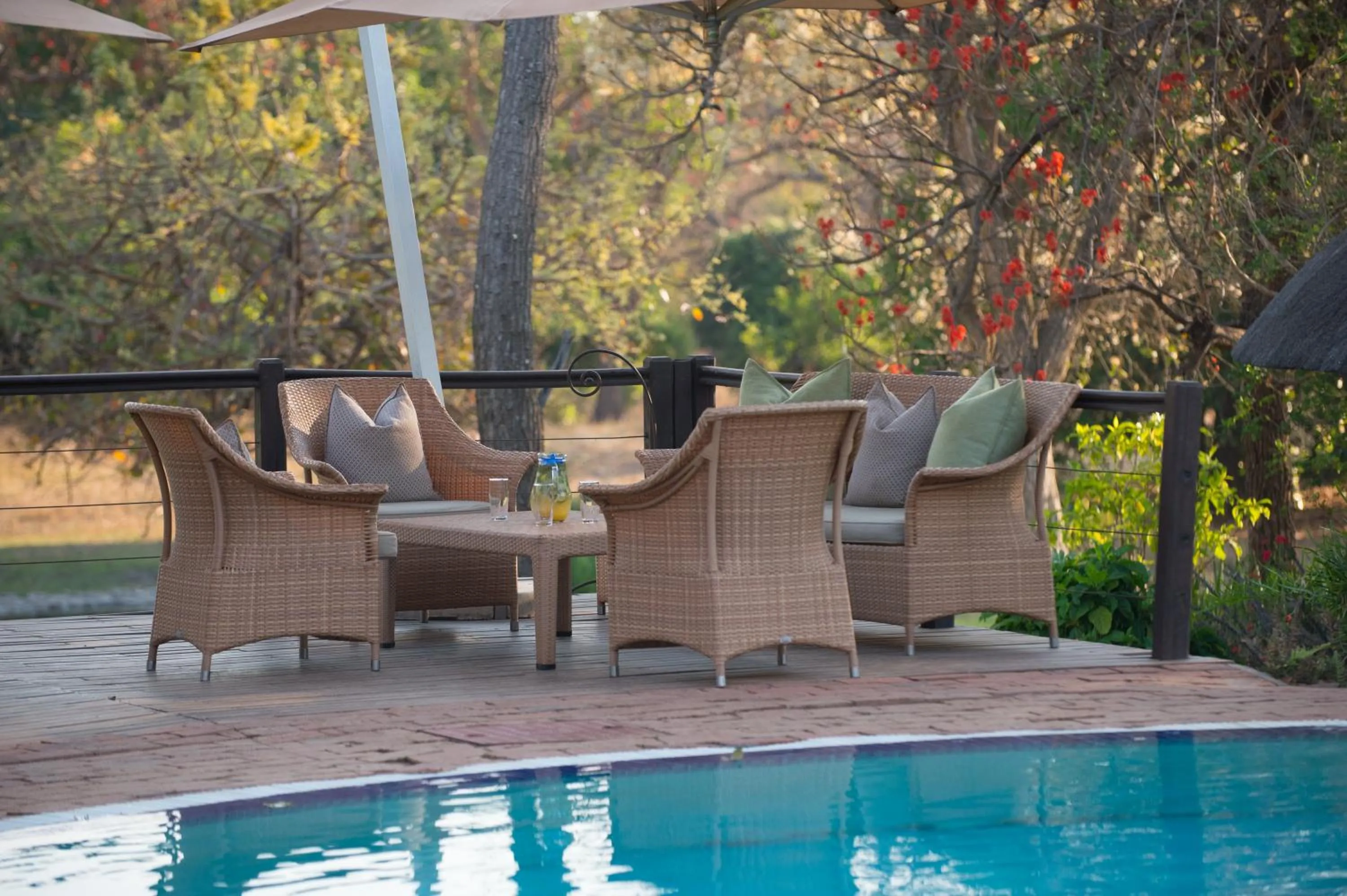 Patio in Lilayi Lodge