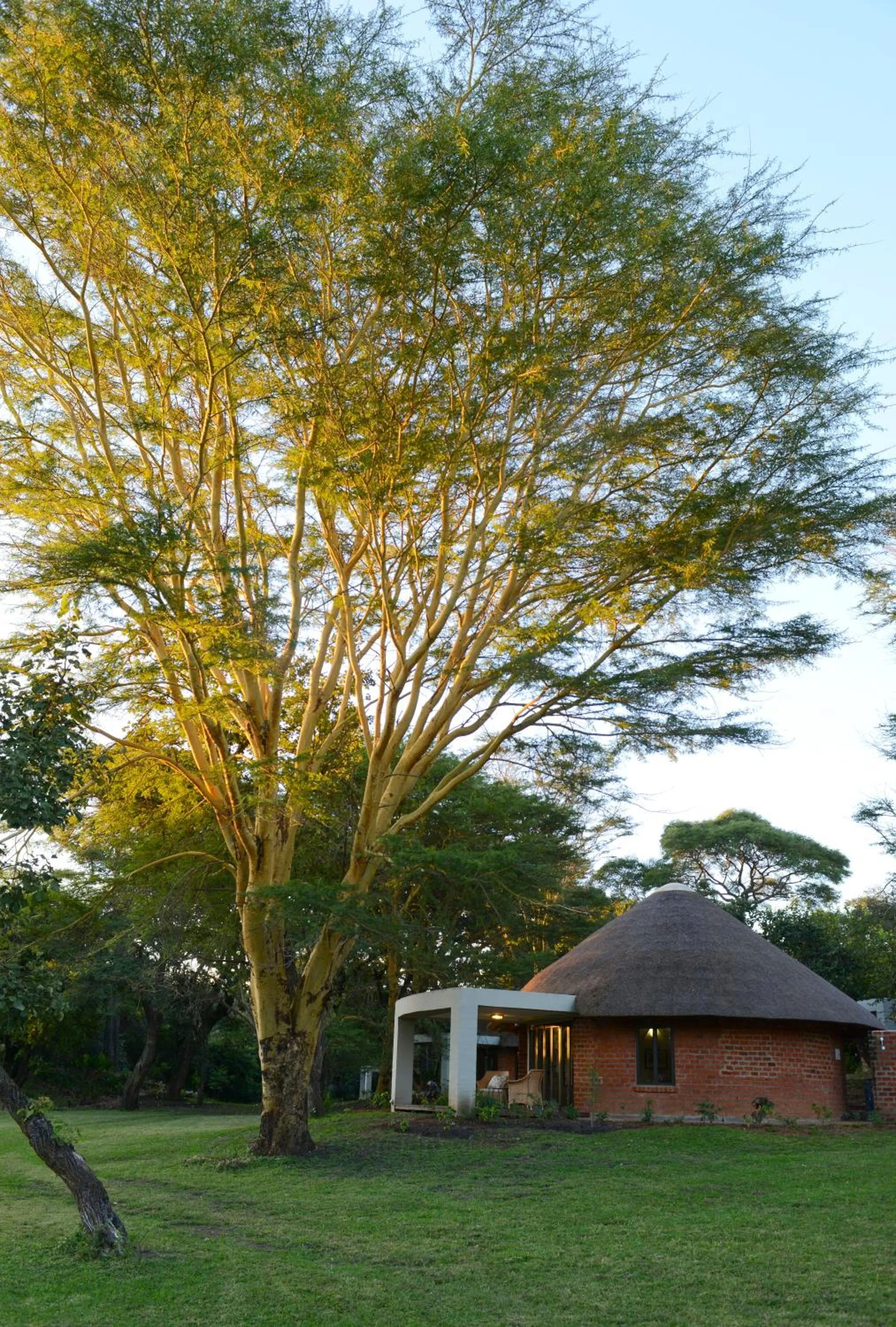 Property building in Lilayi Lodge