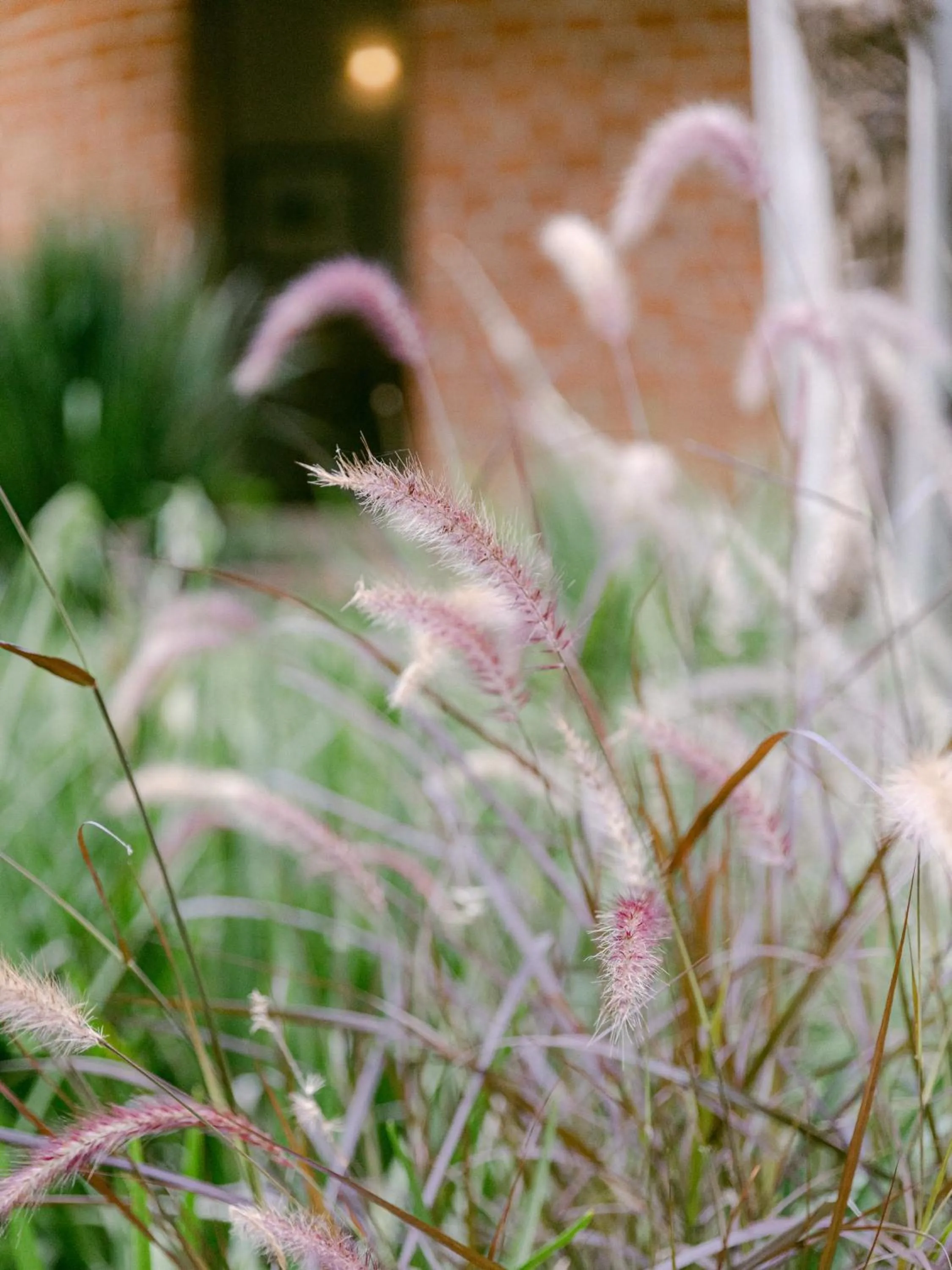 Hiking in Lilayi Lodge