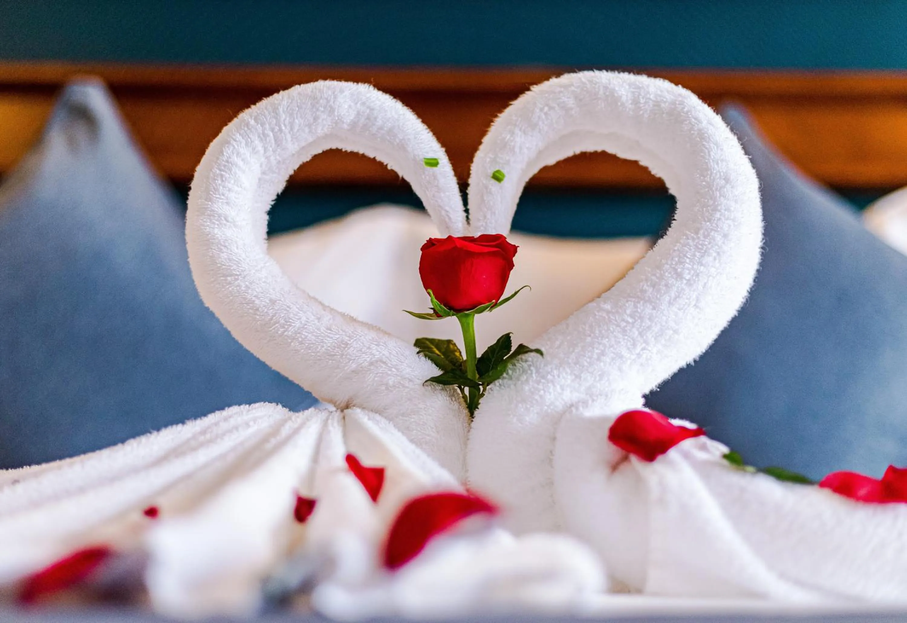 Bedroom, Bed in Le Vert Angkor Hotel