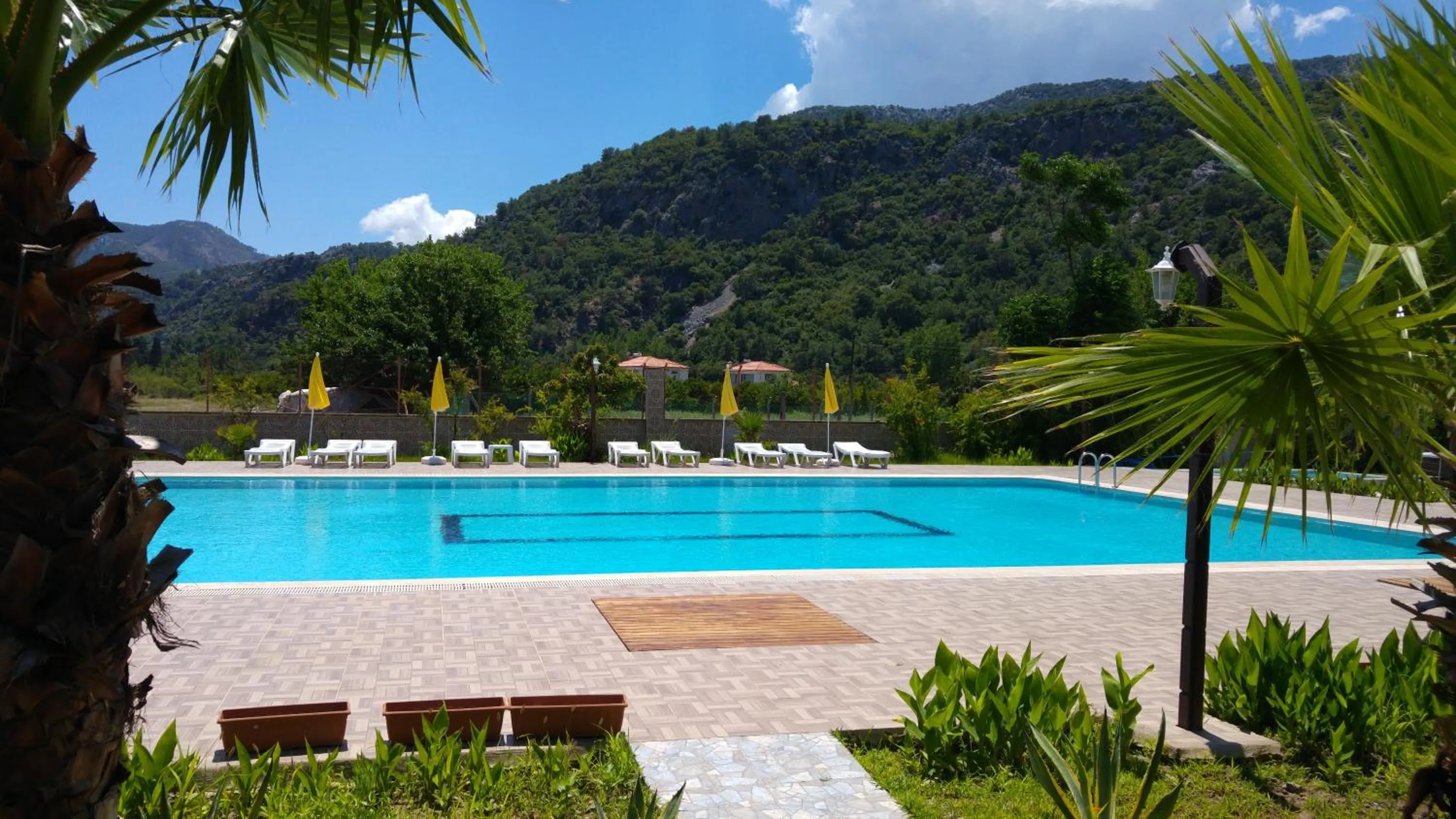 Pool view in Apella Hotel