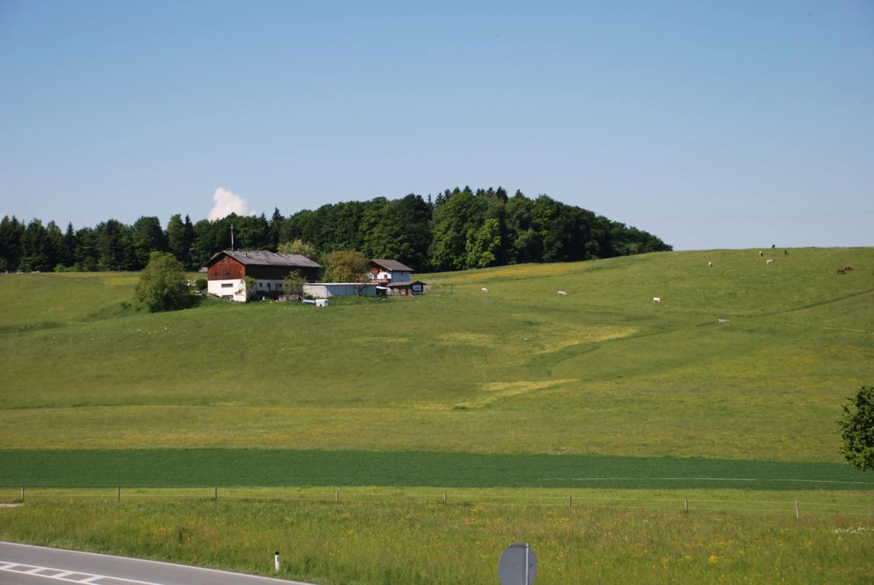 Area and facilities in Landhaus Brieger