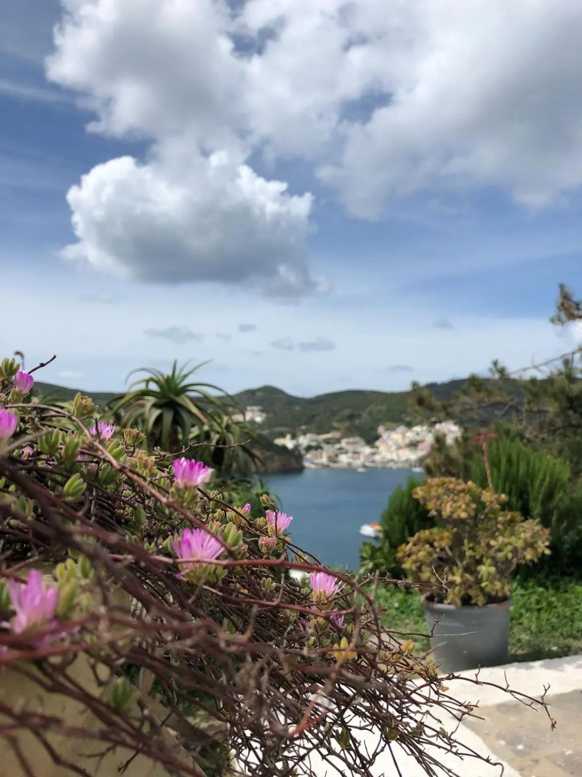 Property building in Casa Carmela