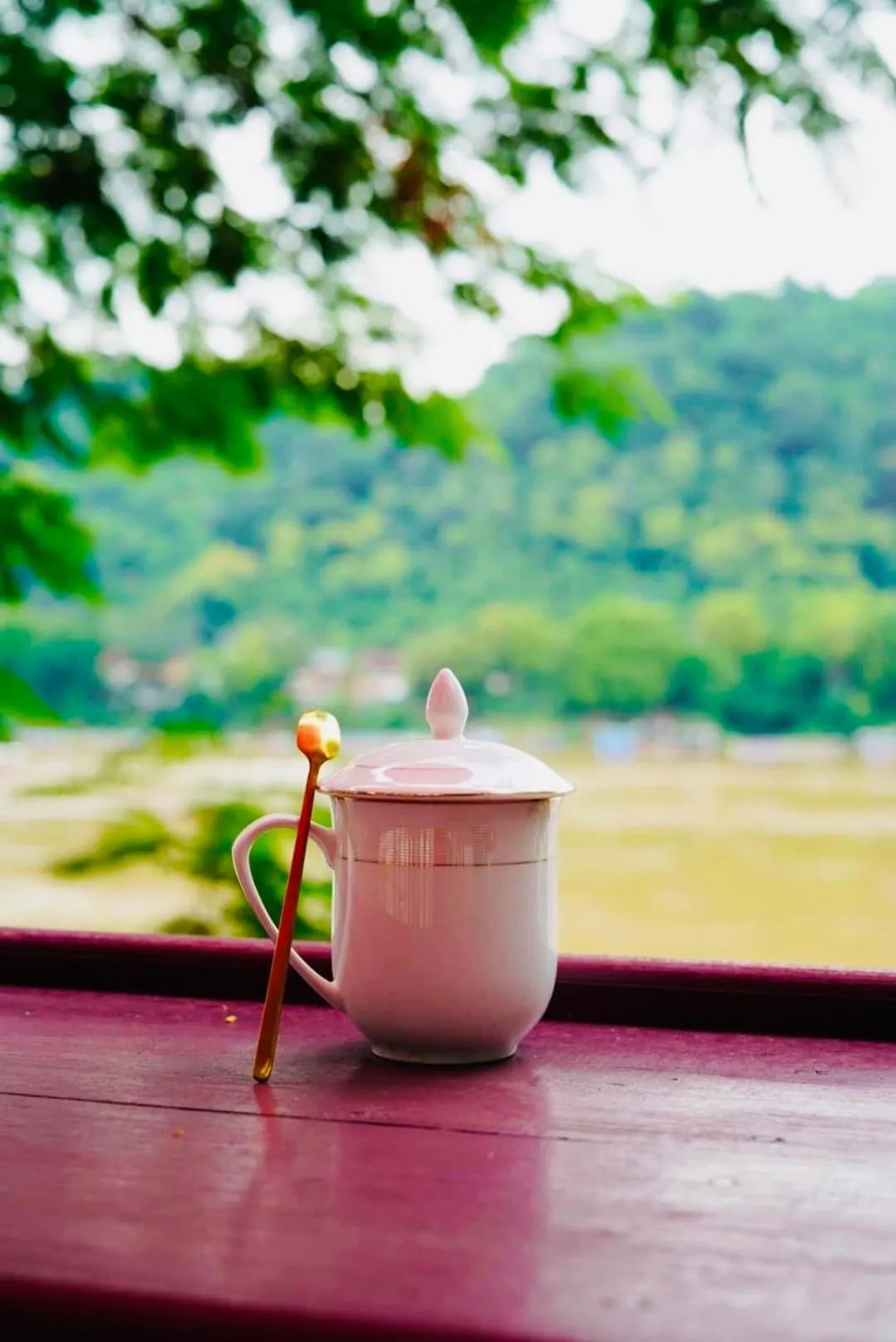 Day in Anisa Mekong Riverside Villa