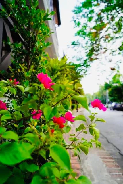 Spring in Anisa Mekong Riverside Villa