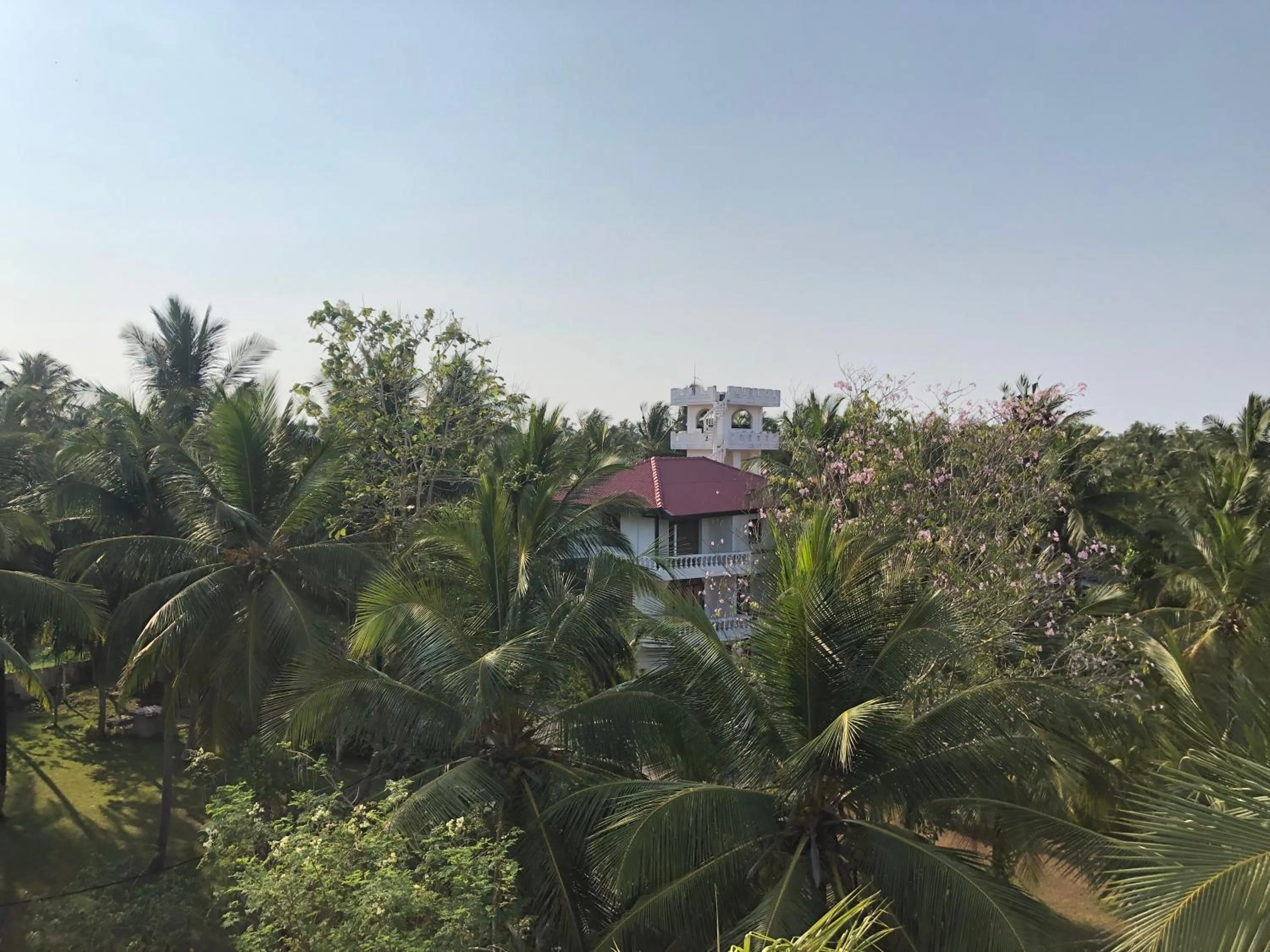 Hotel Lagoon Paradise