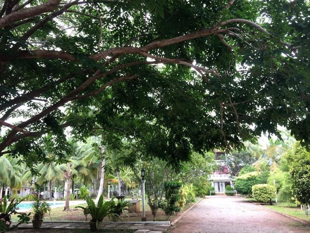 Hotel Lagoon Paradise