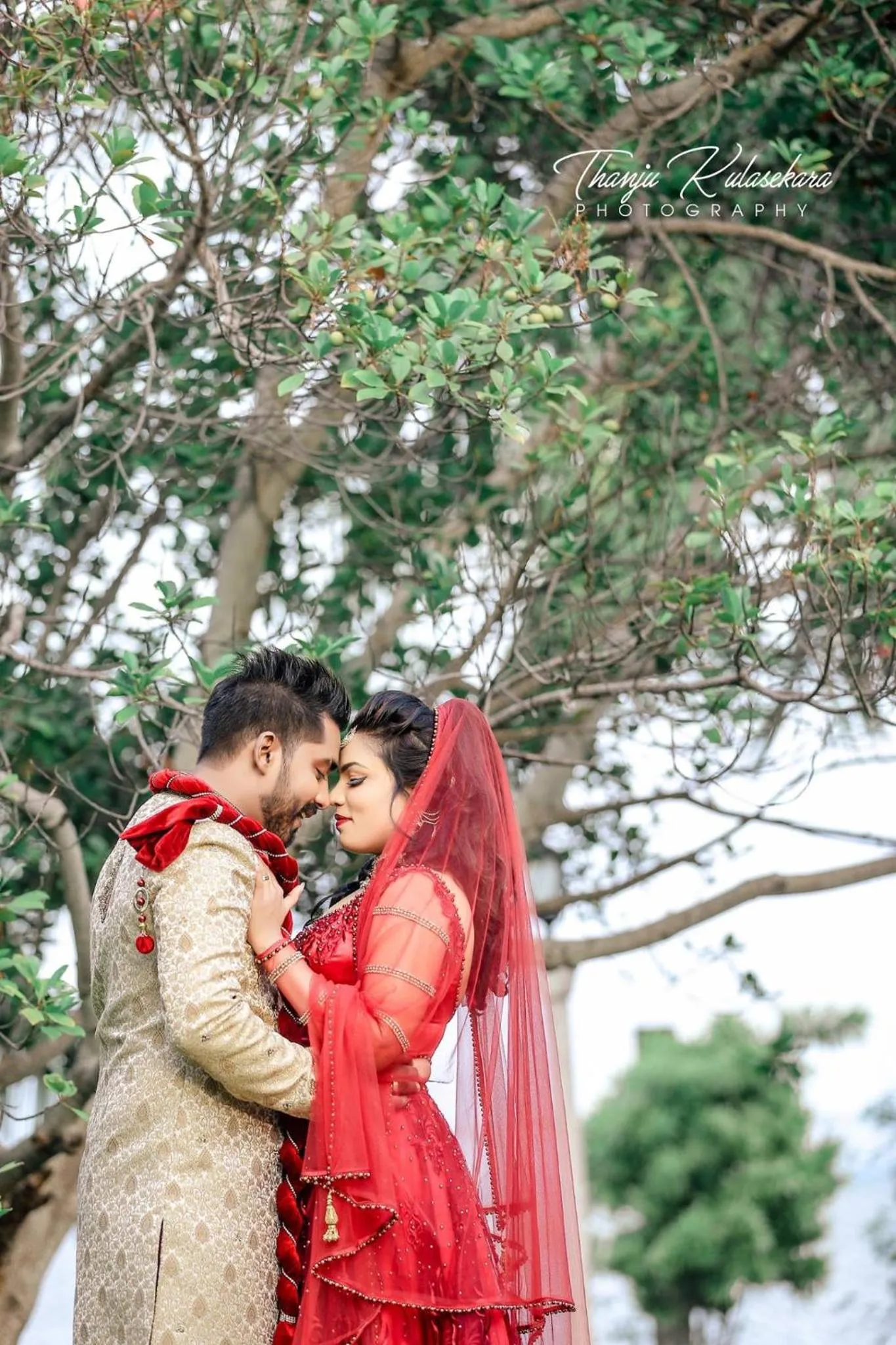 Hotel Lagoon Paradise