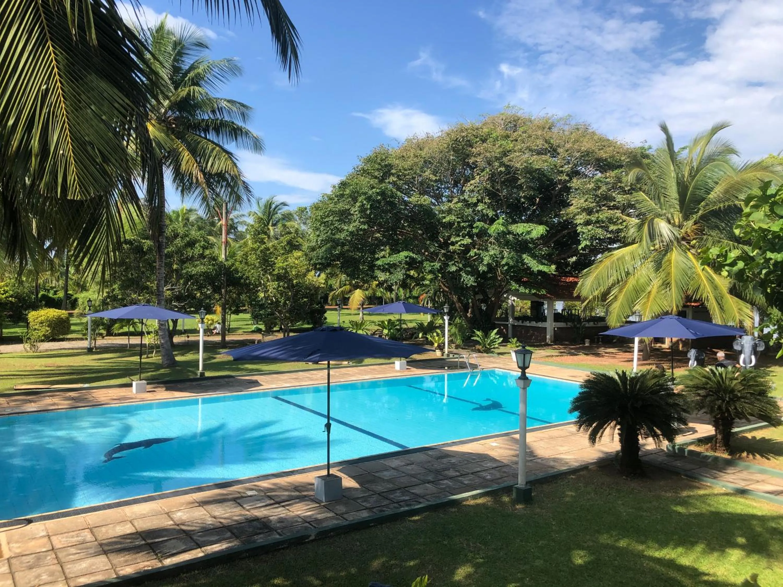 Hotel Lagoon Paradise