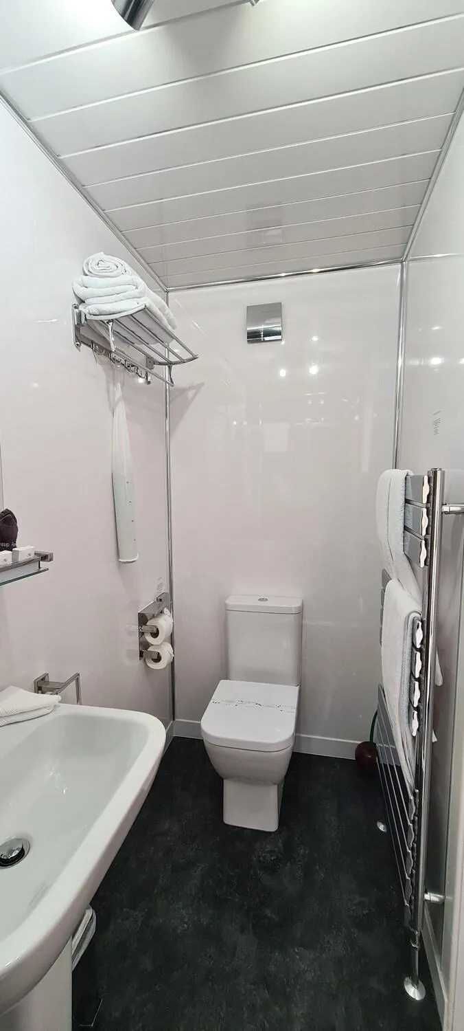 Toilet in Cadillac Kustomz Guest House