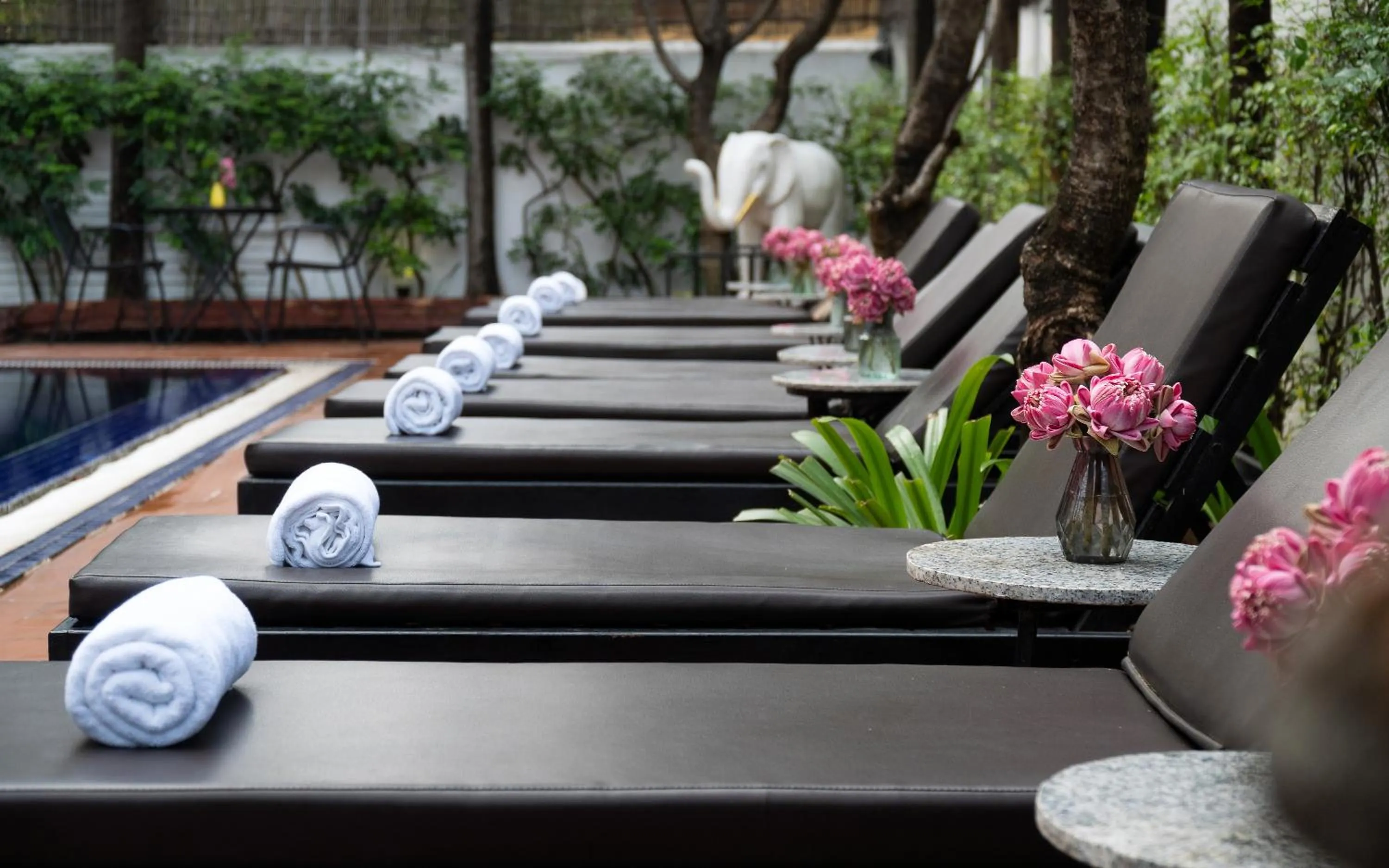 Day in Harmony Indochine d'Angkor