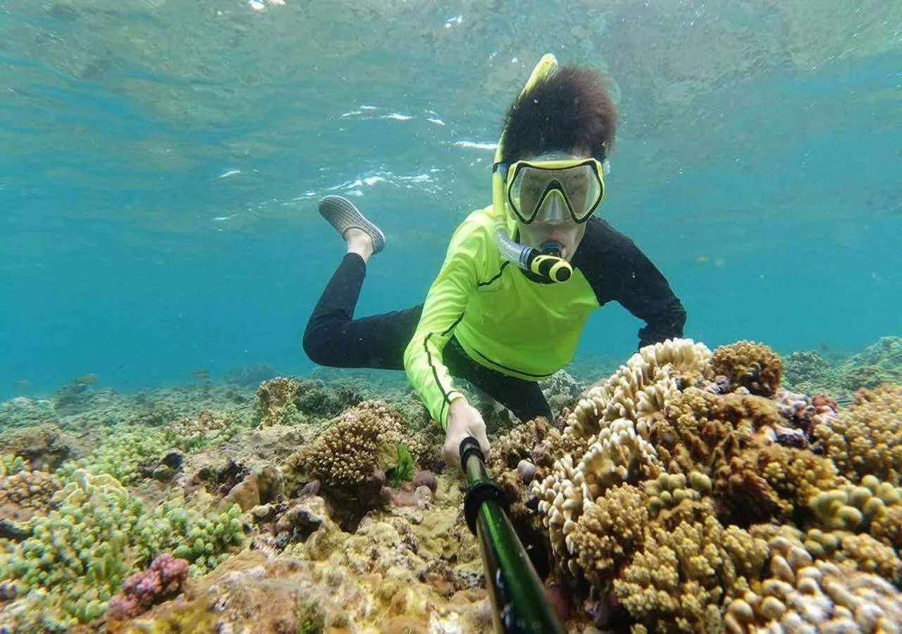 Snorkeling in May Beach Hotel