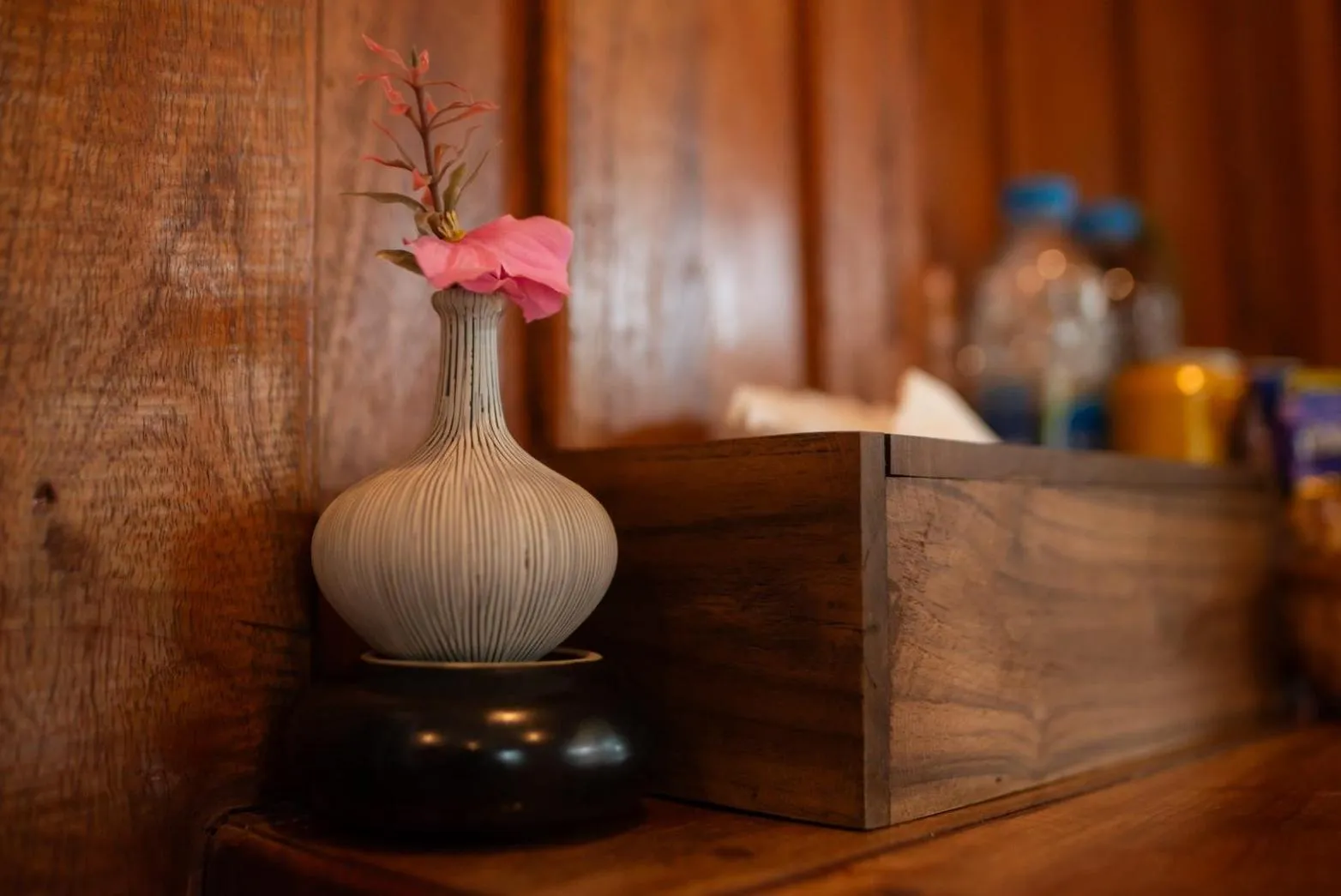 COCO Canopy Boutique Resort