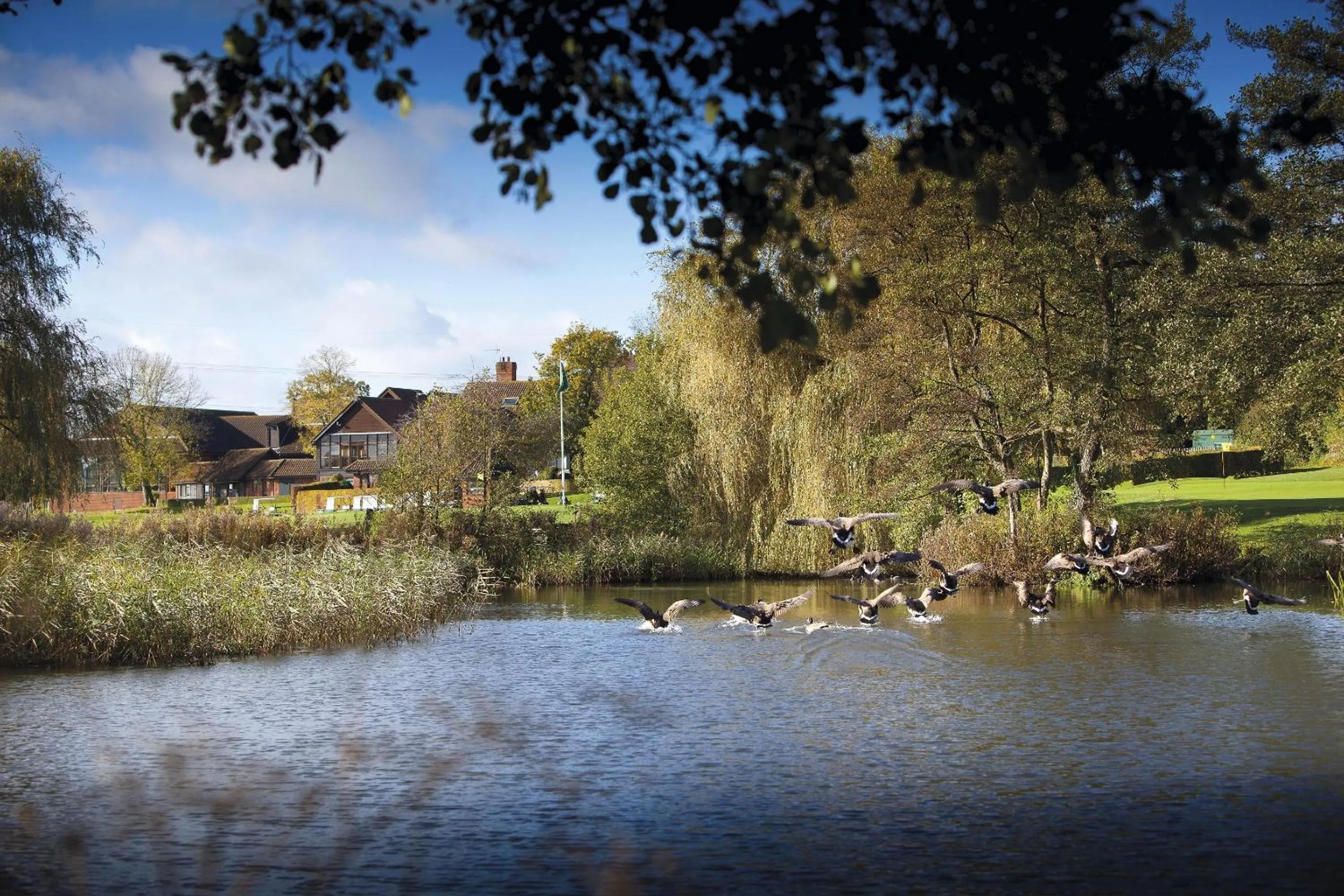 Area and facilities in Barnham Broom Hotel, Golf & Spa