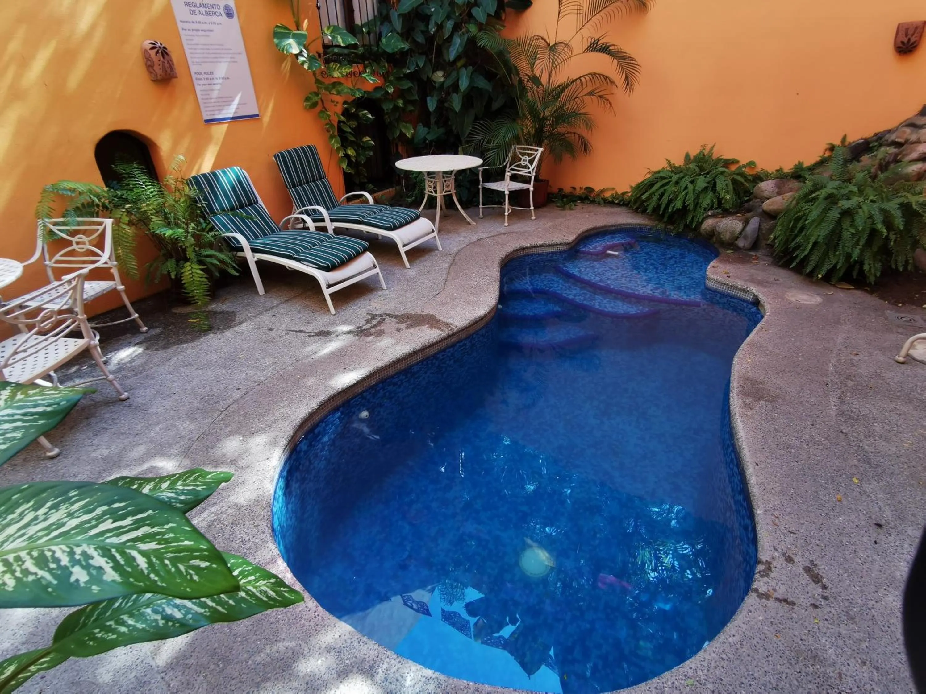 Swimming pool in Villas Vista Suites Sayulita