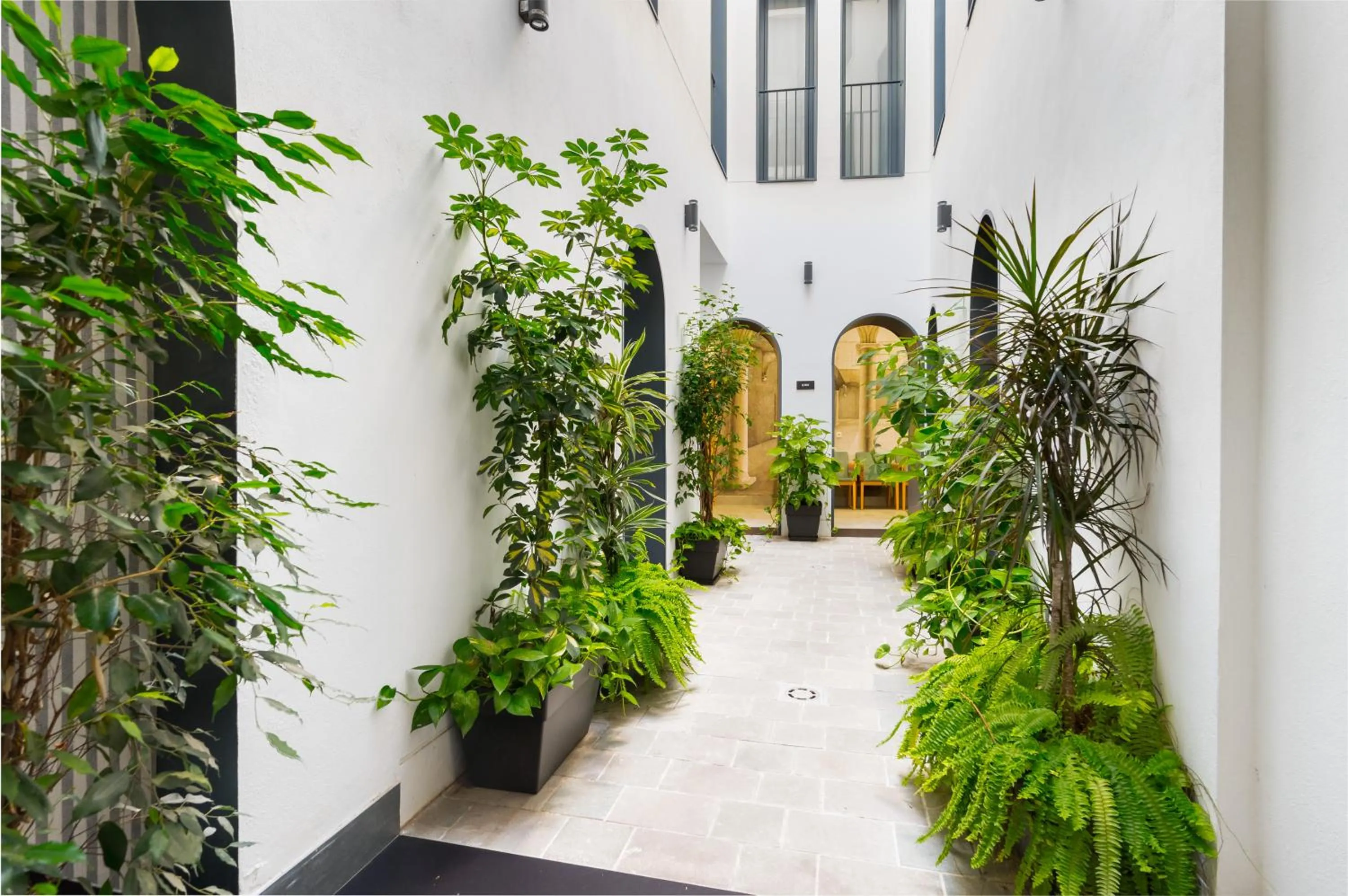 Garden in Posada de los Venerables