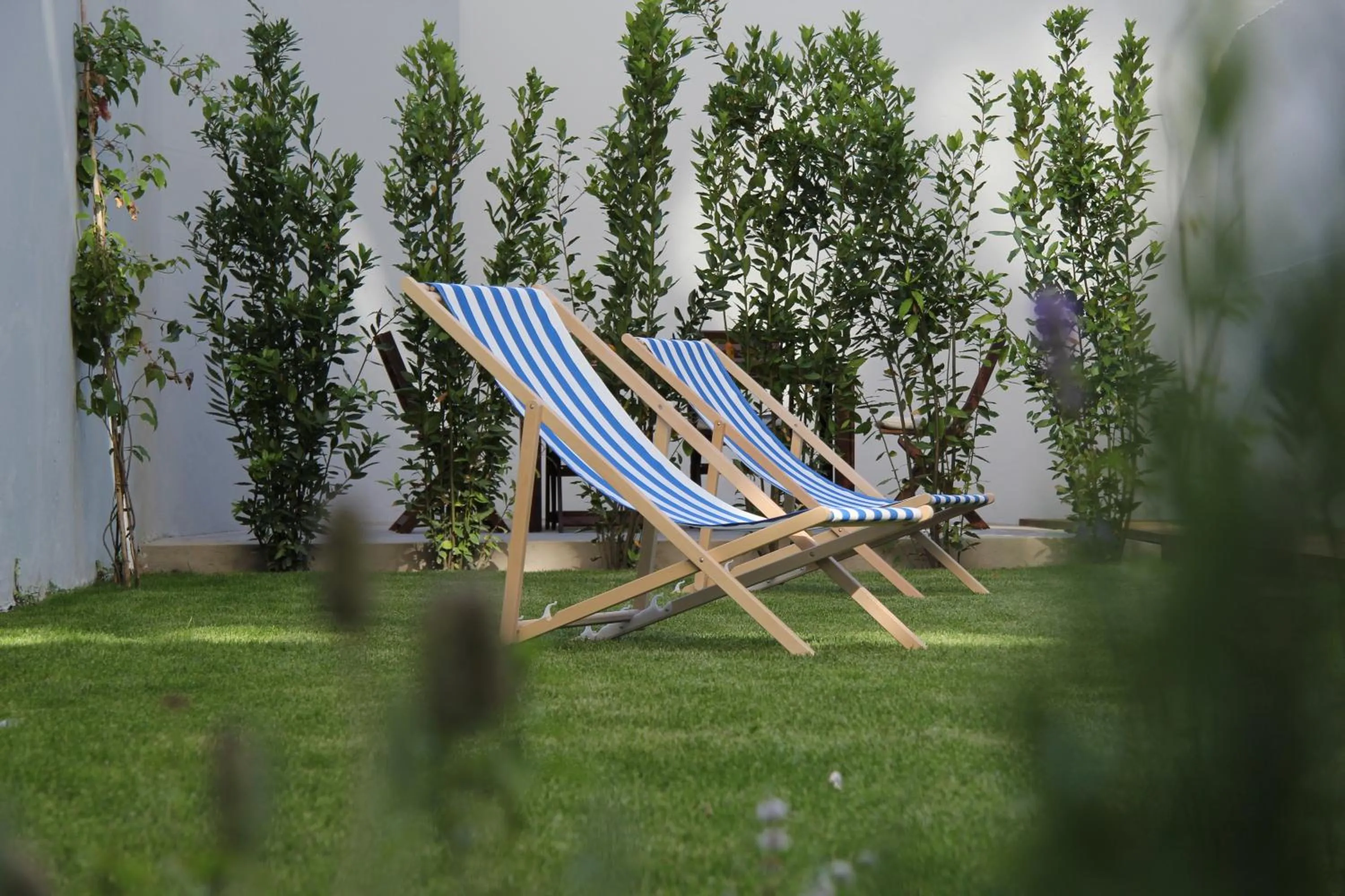 Garden in Decanting Porto House