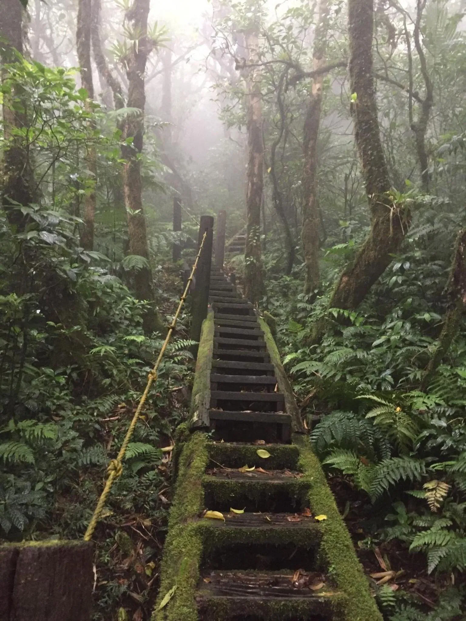 Hiking in Mombacho Lodge