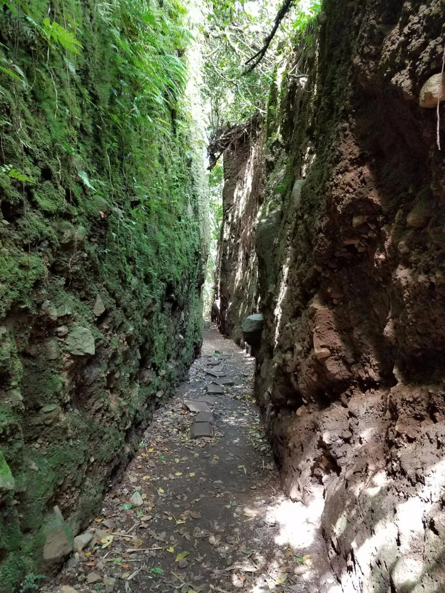 Hiking in Mombacho Lodge