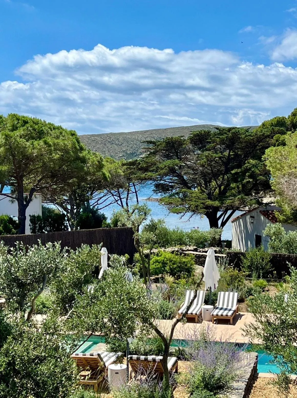 Natural landscape in Boutique Hotel Villa Salvador - Adults Only by Fimedhotels