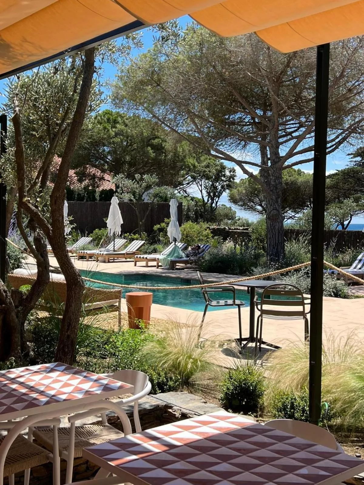 Garden in Boutique Hotel Villa Salvador - Adults Only by Fimedhotels