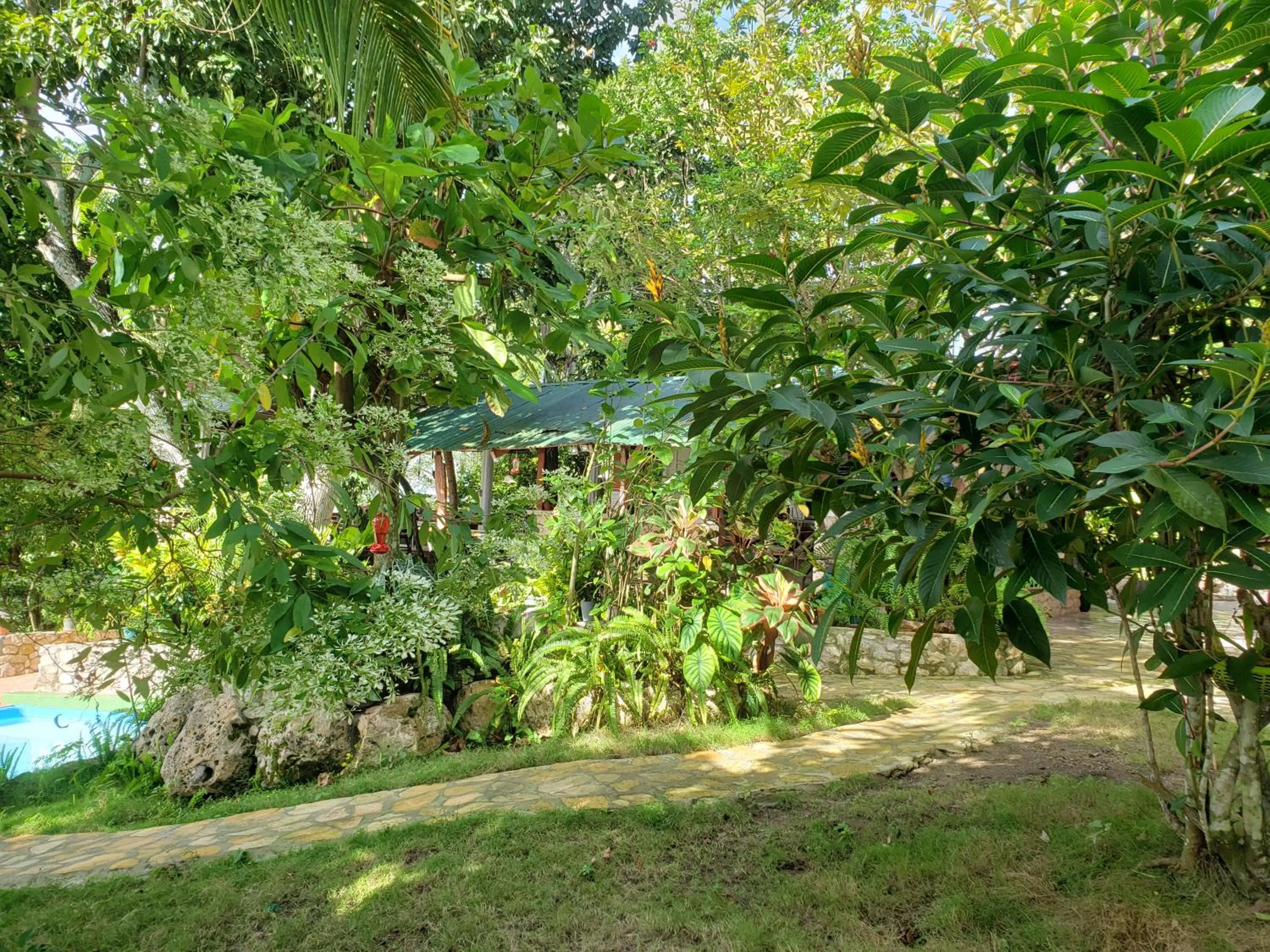 Garden in Zapote Tree Inn