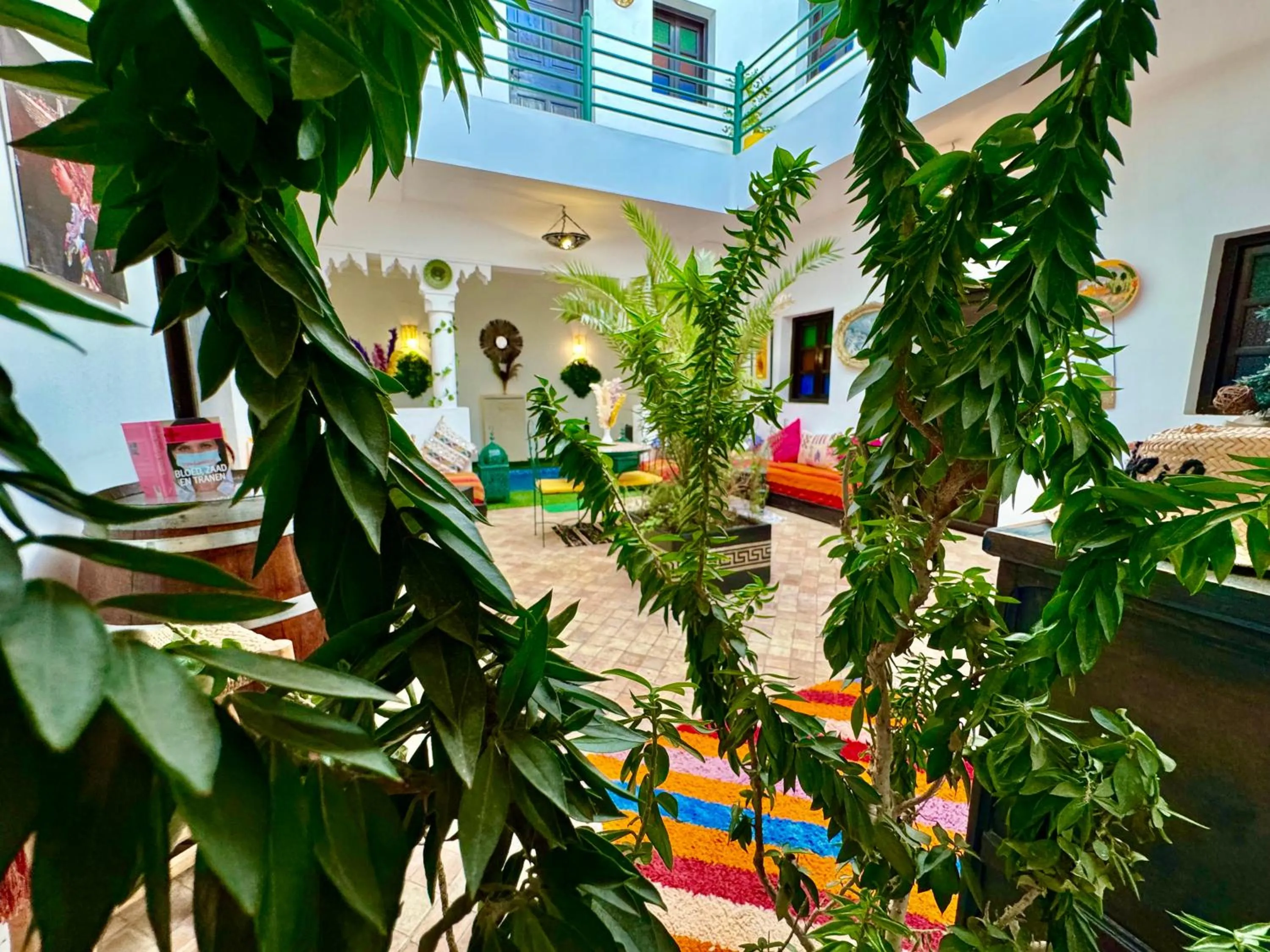Garden in Riad Iklil