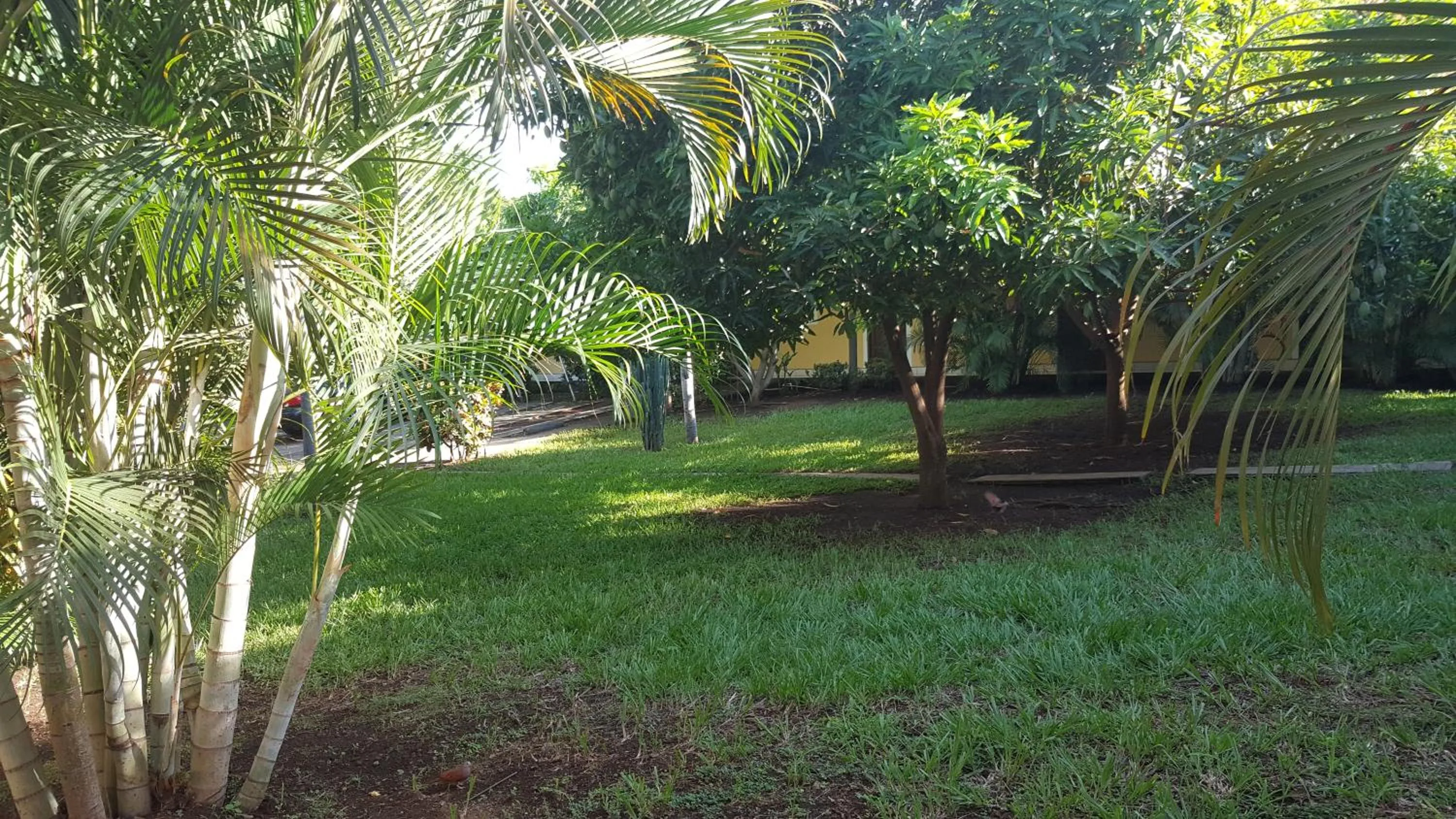 Garden in Hotel La Arboleda