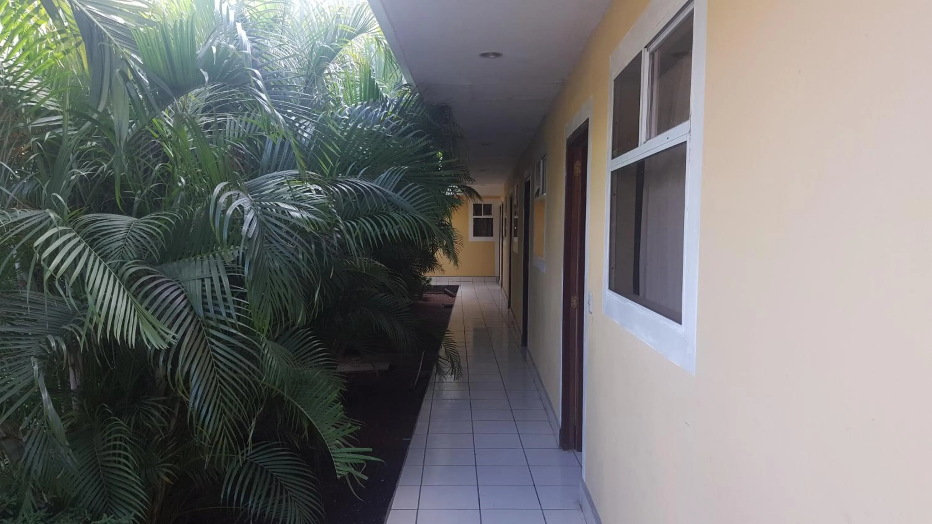 Patio in Hotel La Arboleda