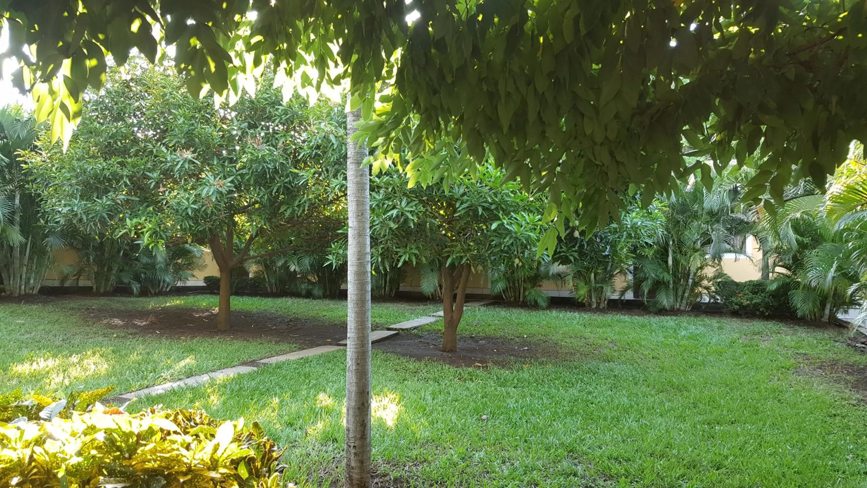 Garden view in Hotel La Arboleda