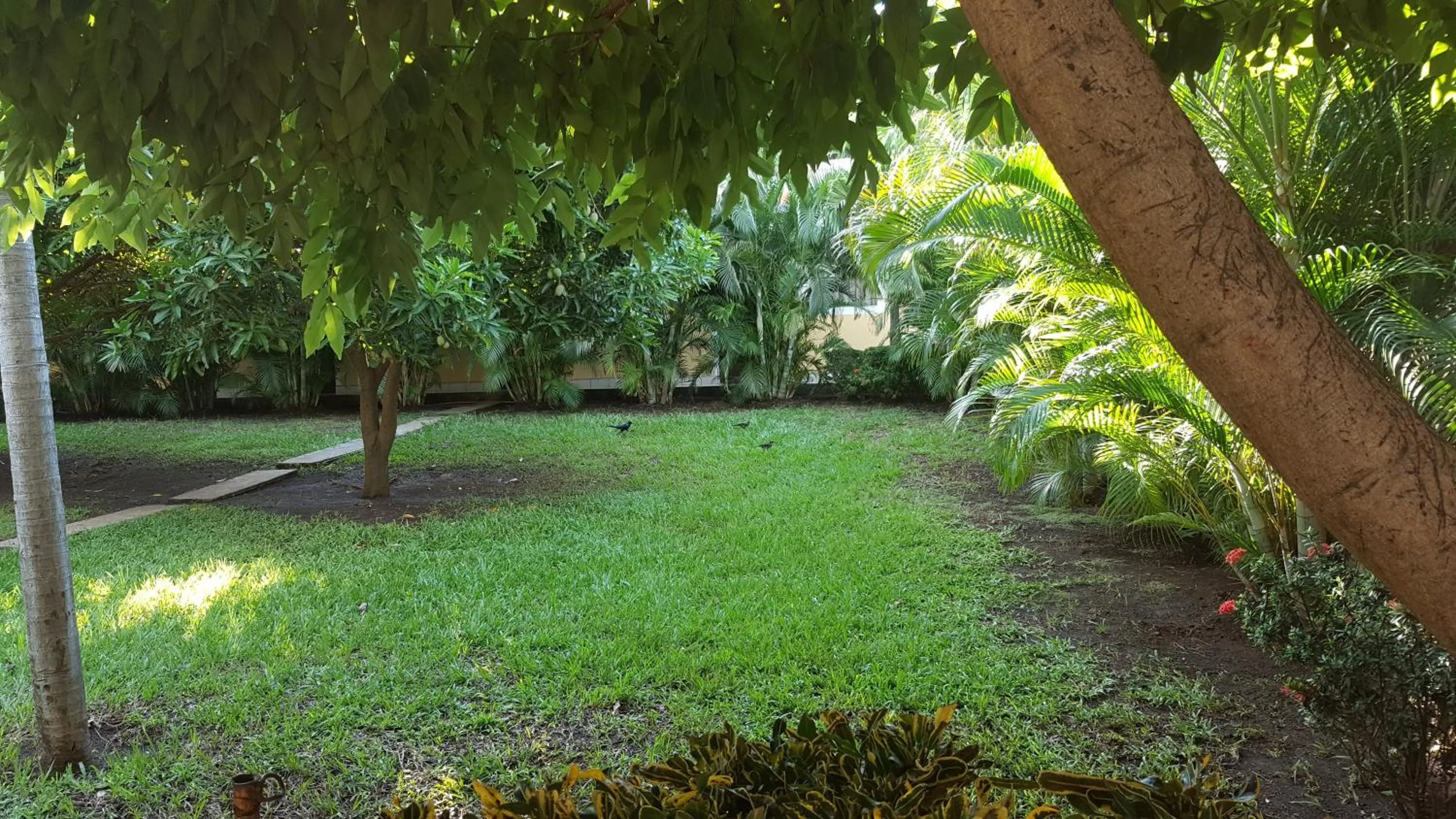 Garden in Hotel La Arboleda