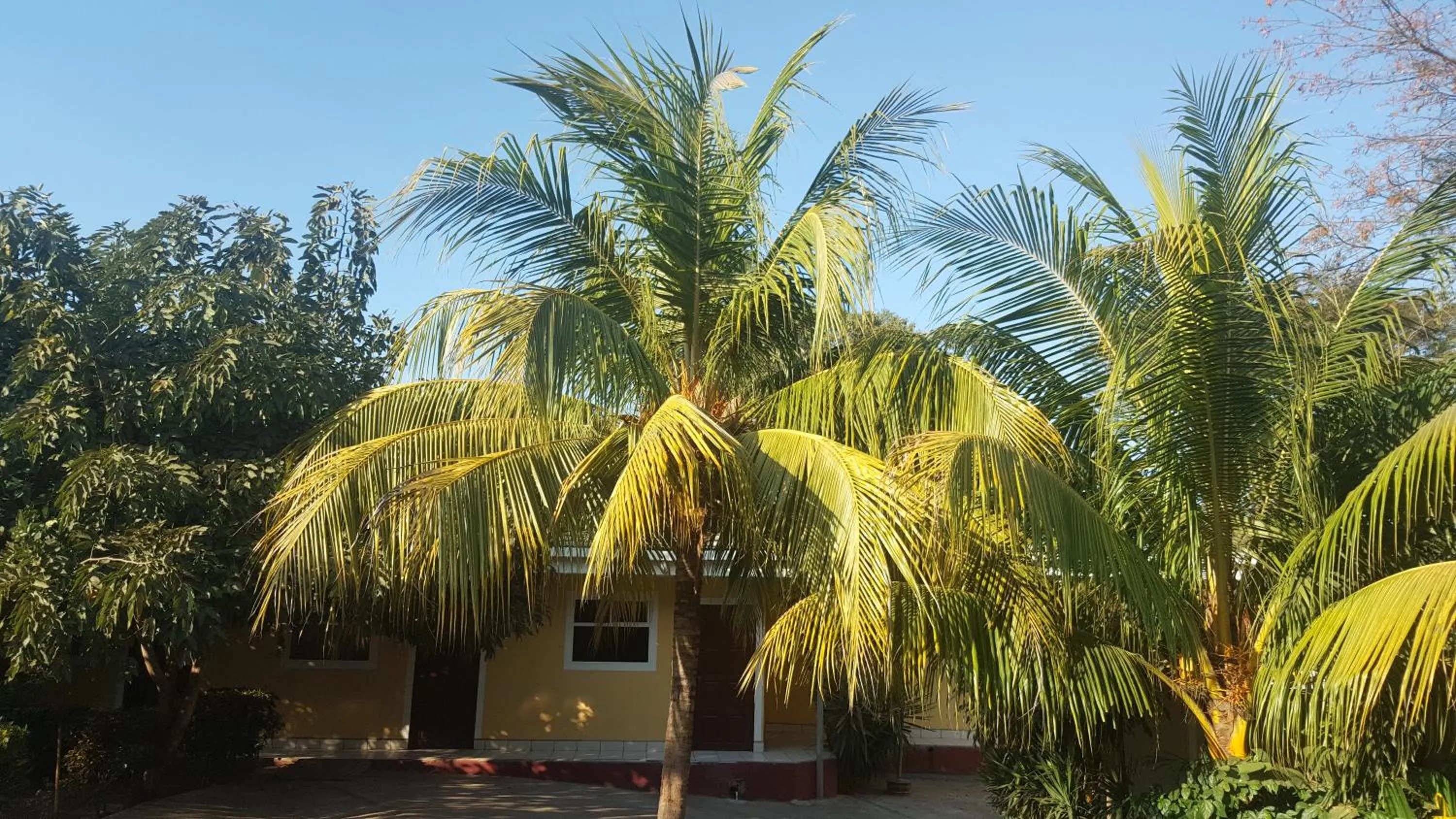 On site in Hotel La Arboleda