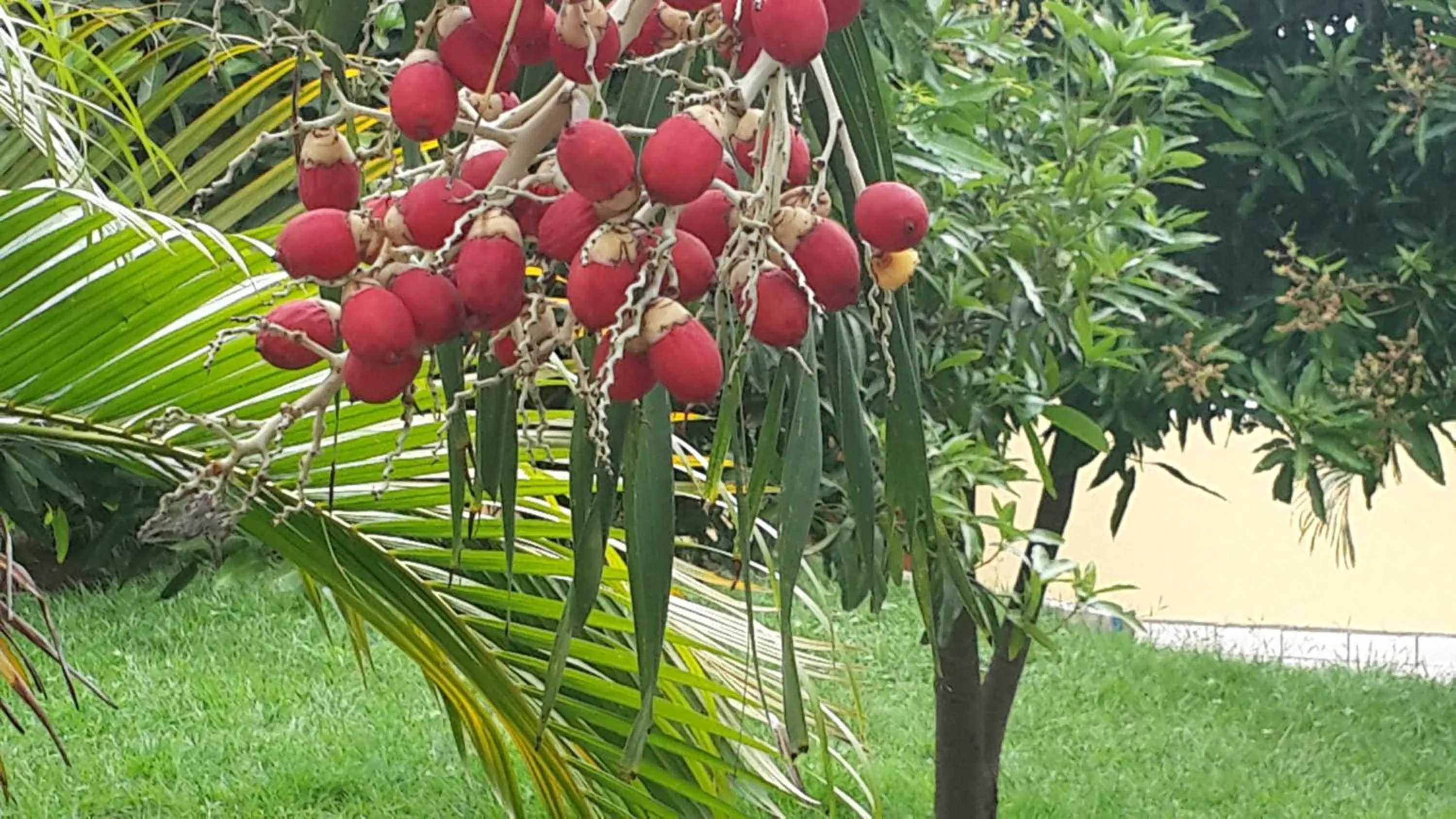 Natural landscape in Hotel La Arboleda